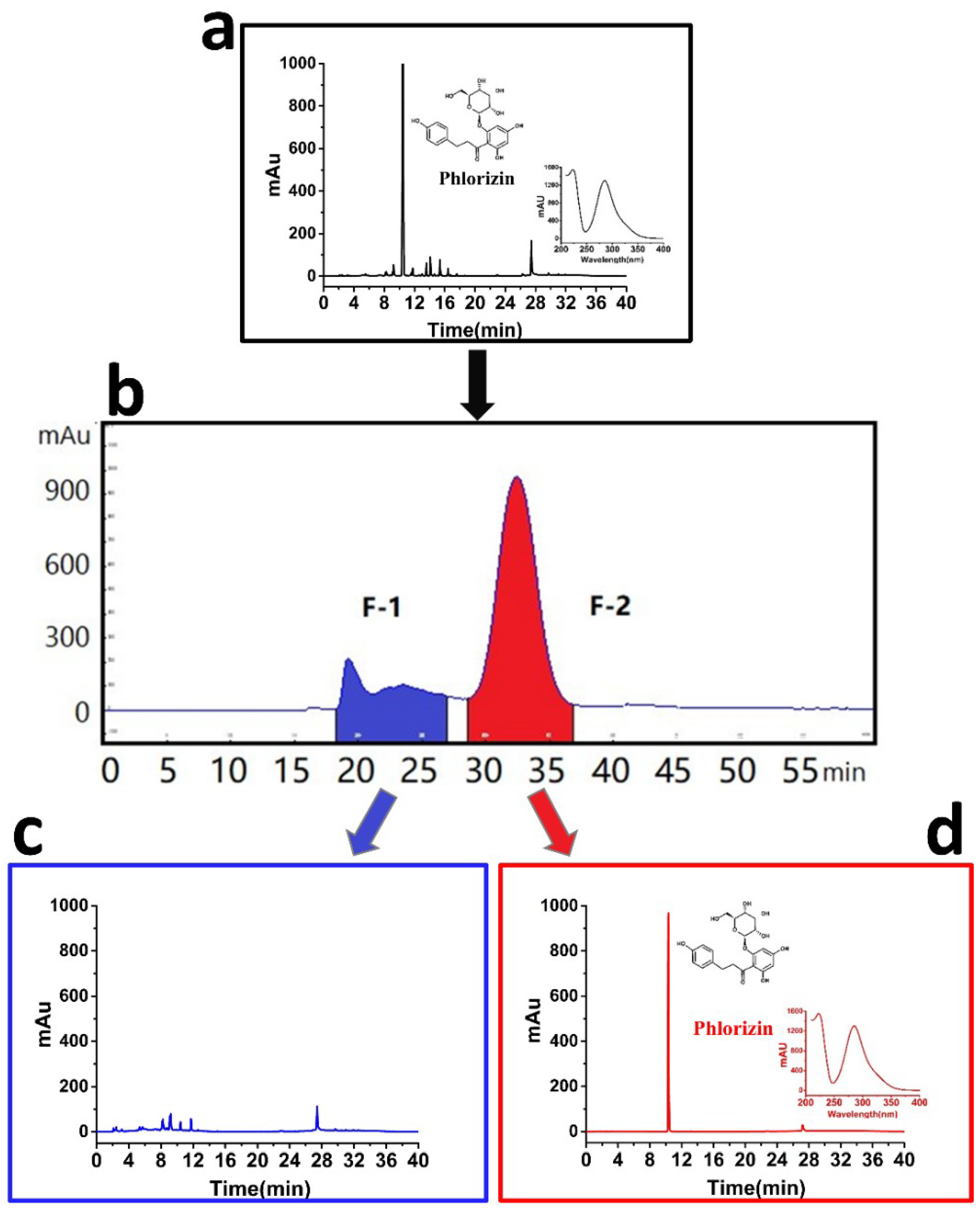 Molecules 23 02701 g001 Molecules 23 02701 g001