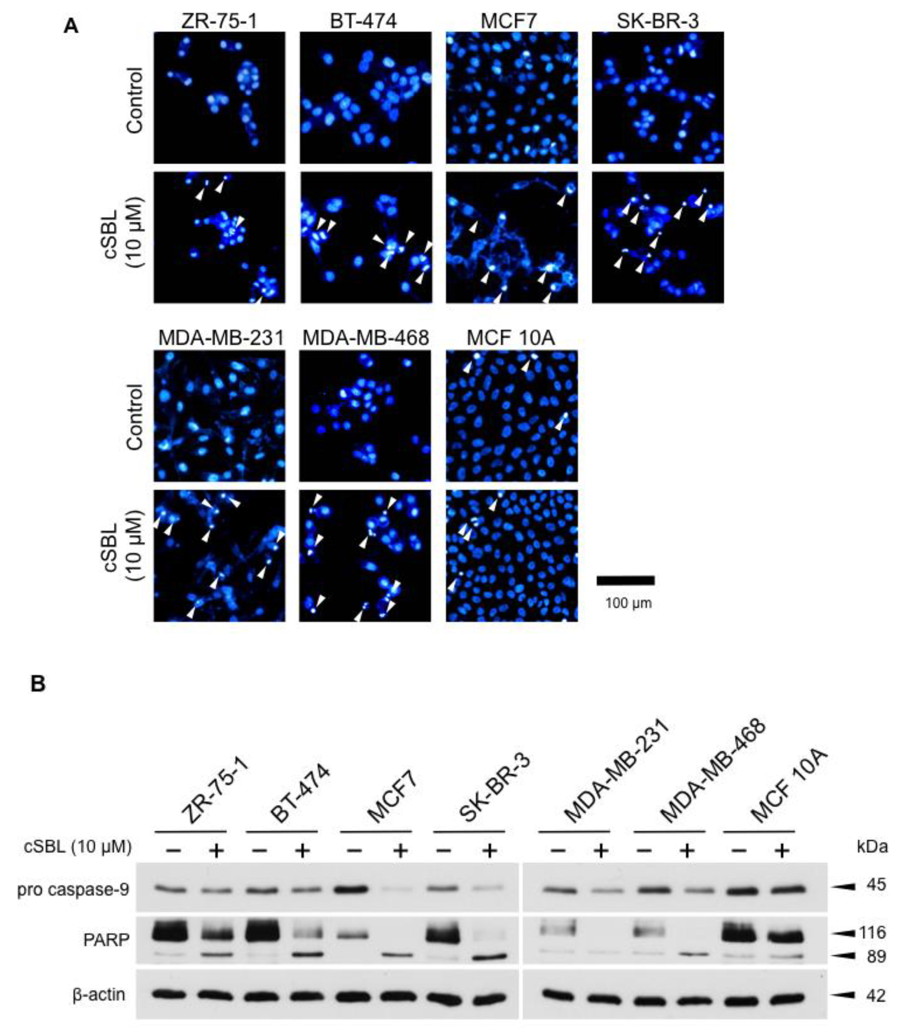 Molecules 23 02714 g002