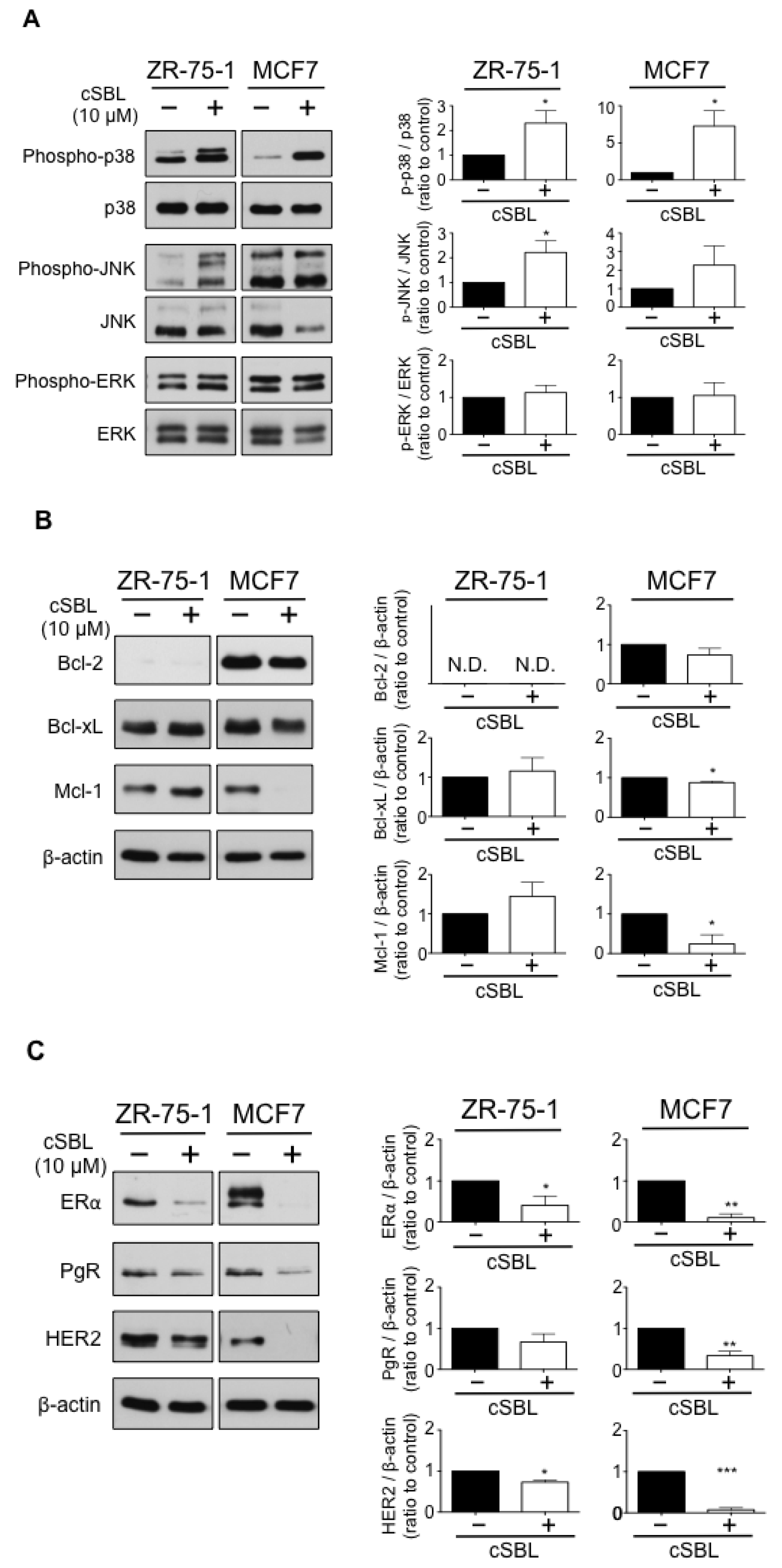 Molecules 23 02714 g003