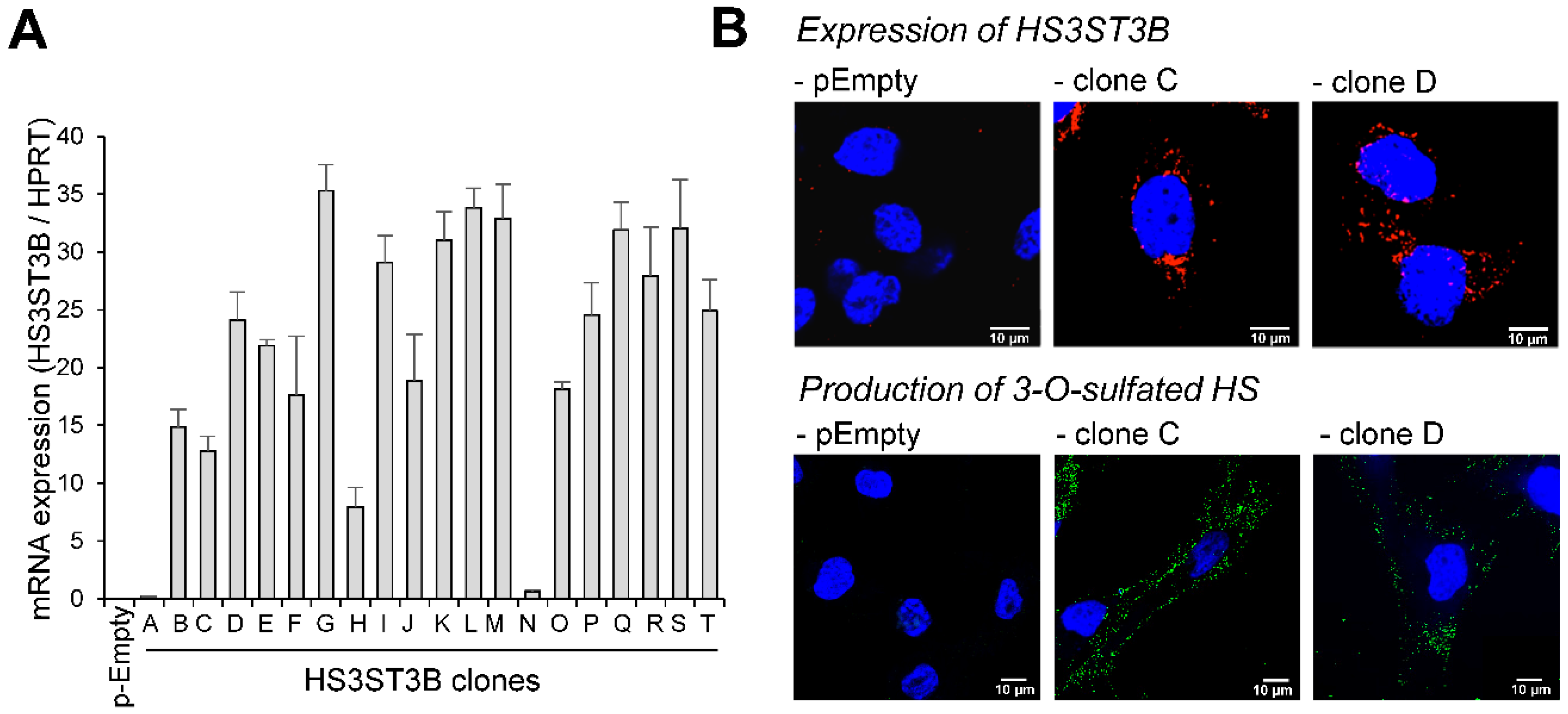 Molecules 23 02718 g001