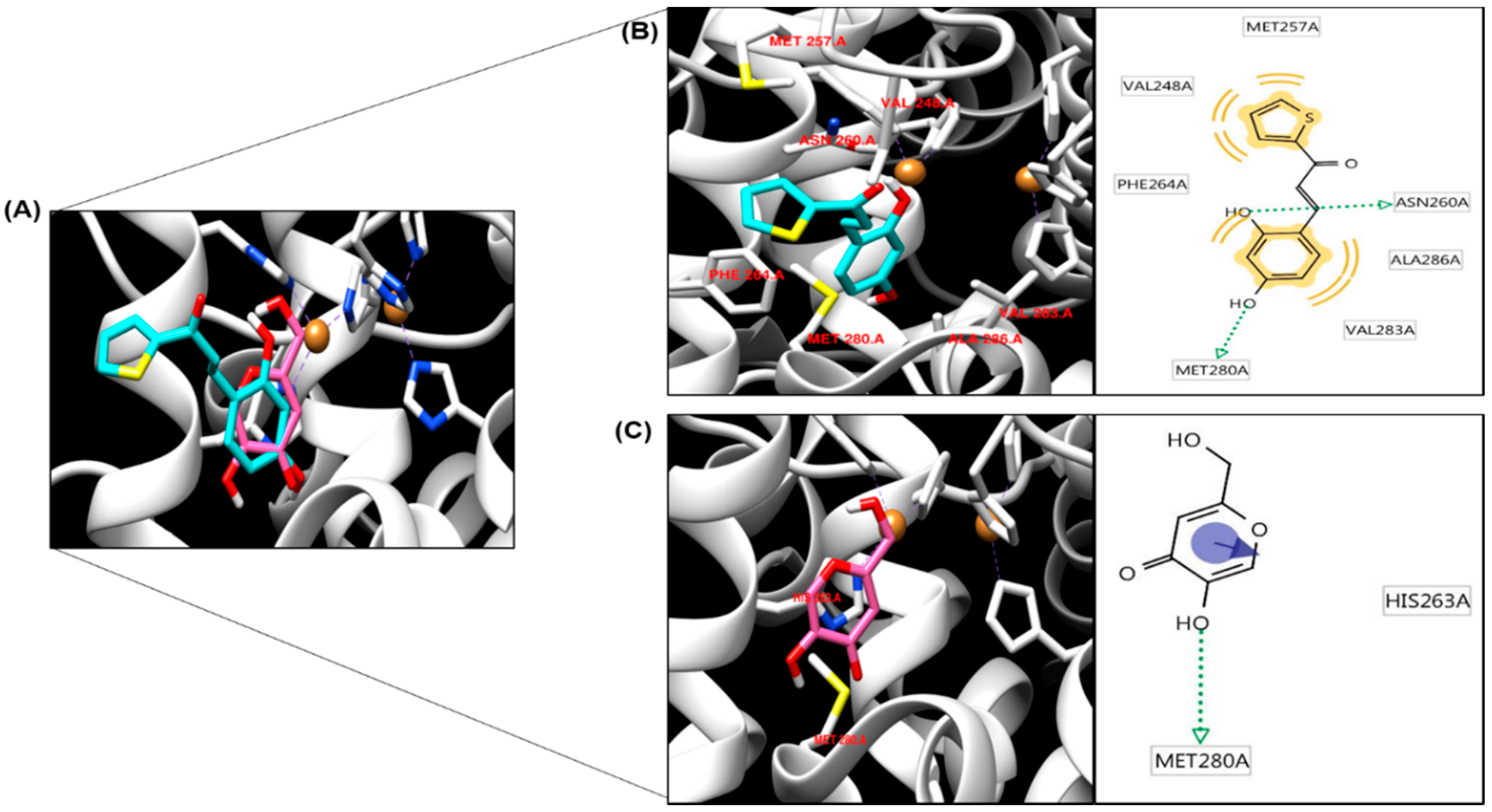 Molecules 23 02725 g003 Molecules 23 02725 g003
