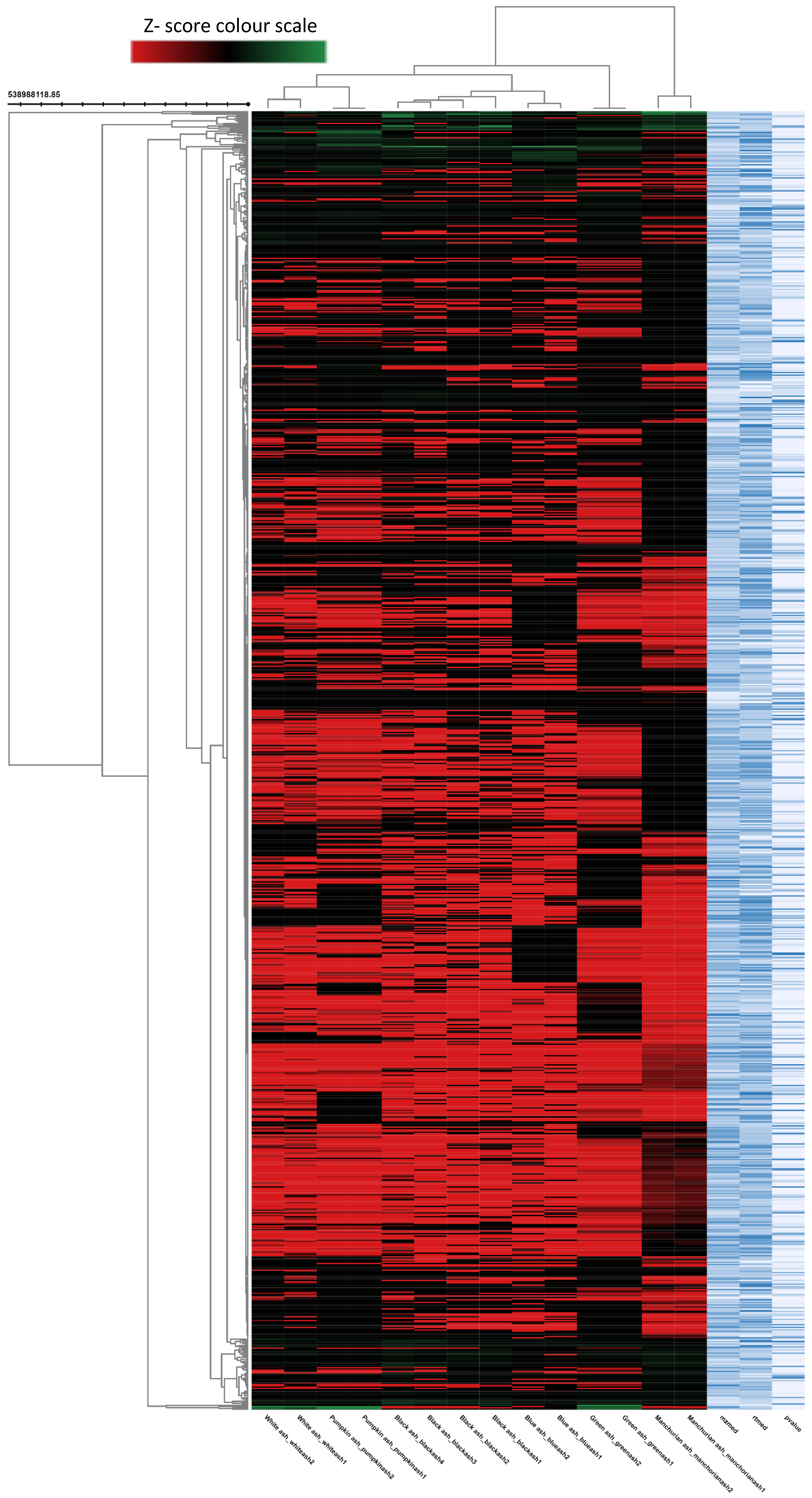 Molecules 23 02734 g003