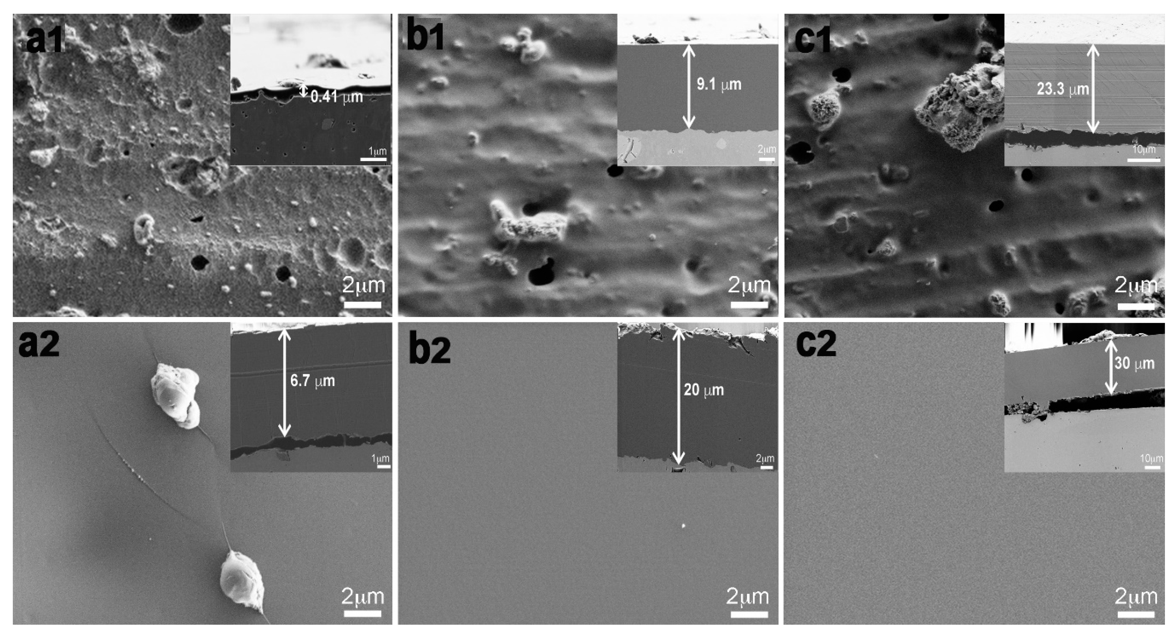 Molecules 23 02747 g003 Molecules 23 02747 g003
