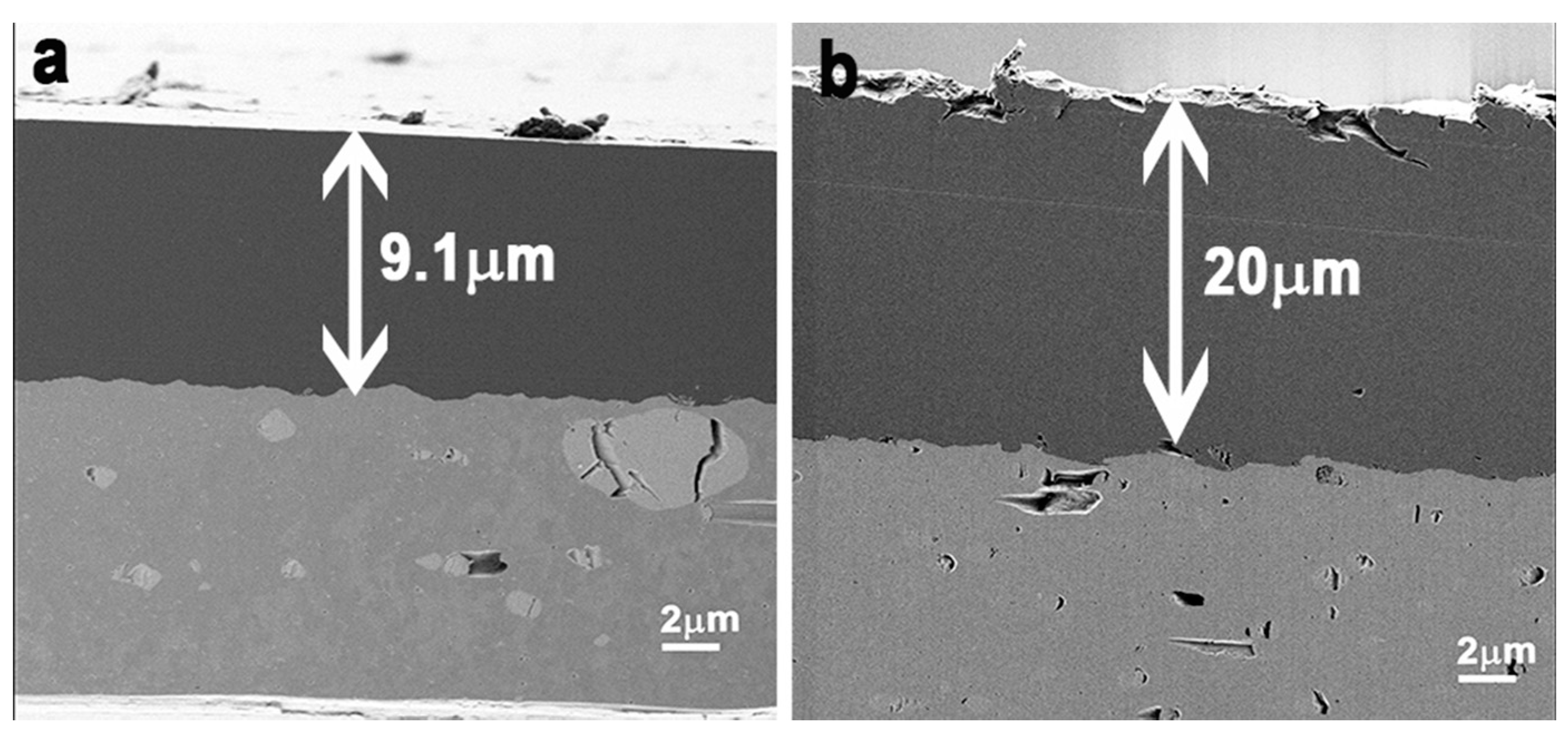 Molecules 23 02747 g004 Molecules 23 02747 g004