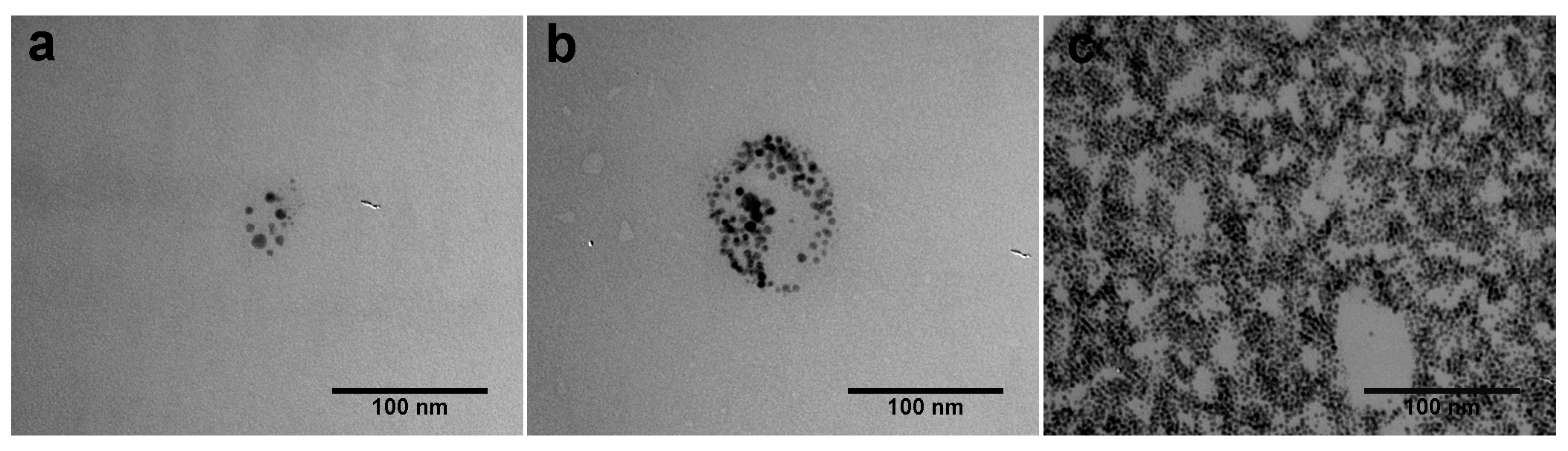Molecules 23 02747 g008 Molecules 23 02747 g008