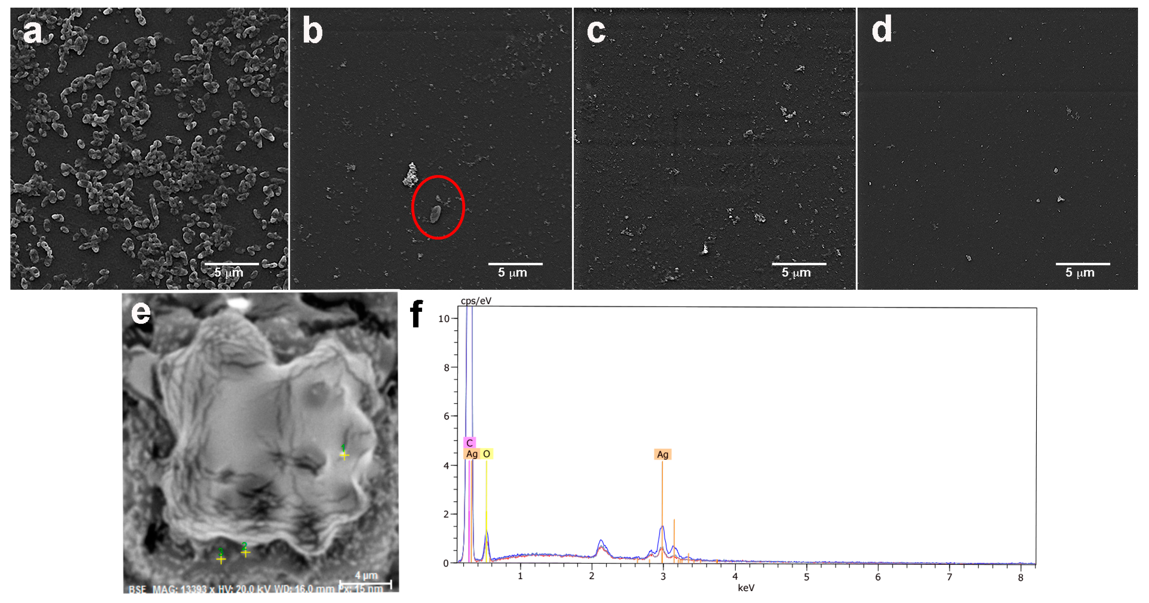 Molecules 23 02747 g009 Molecules 23 02747 g009