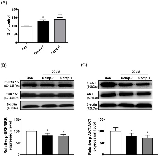 Synthesis of Novel FTY720 Analogs with Anticancer Activity