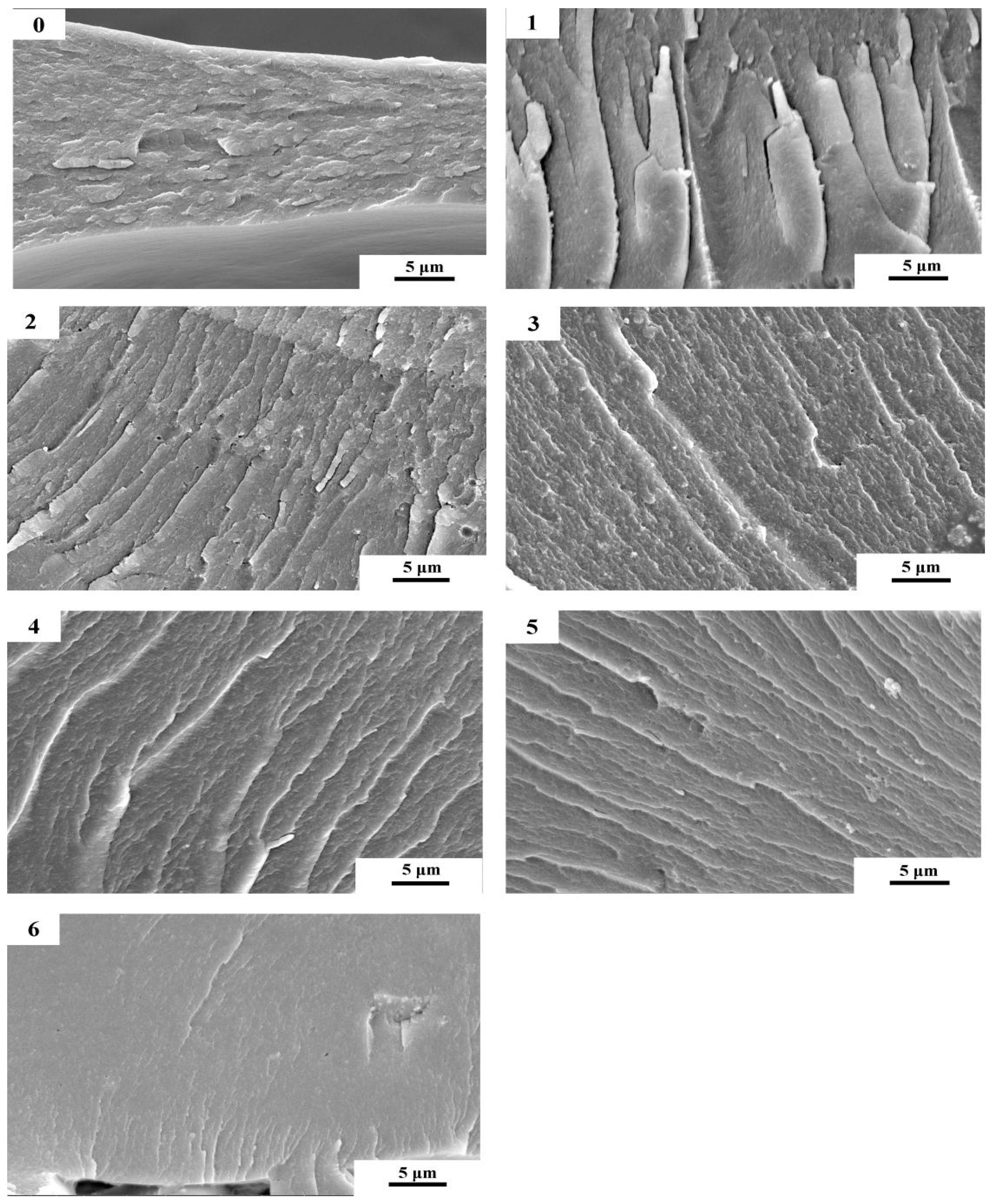 Molecules 23 02752 g007