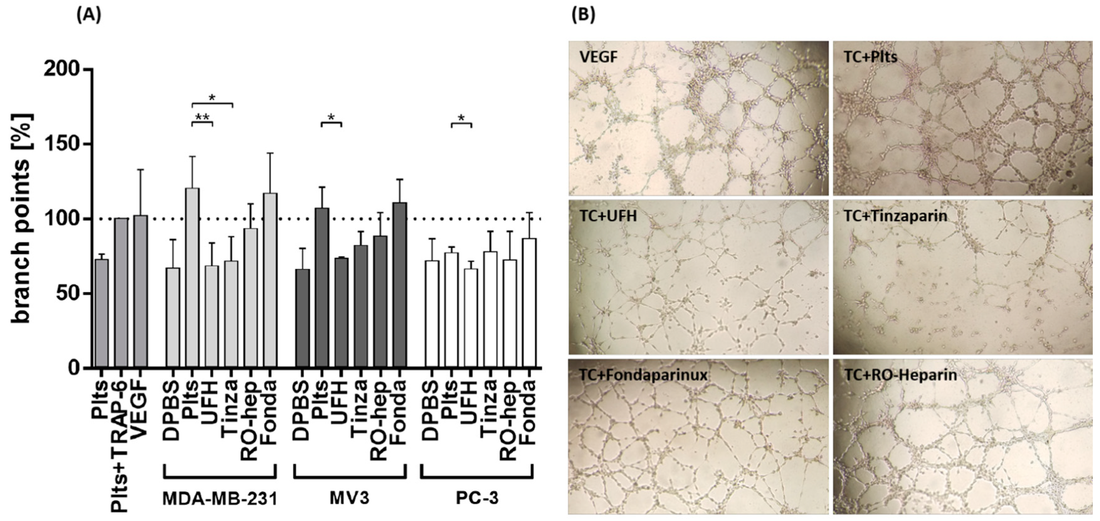 Molecules 23 02753 g006 Molecules 23 02753 g006