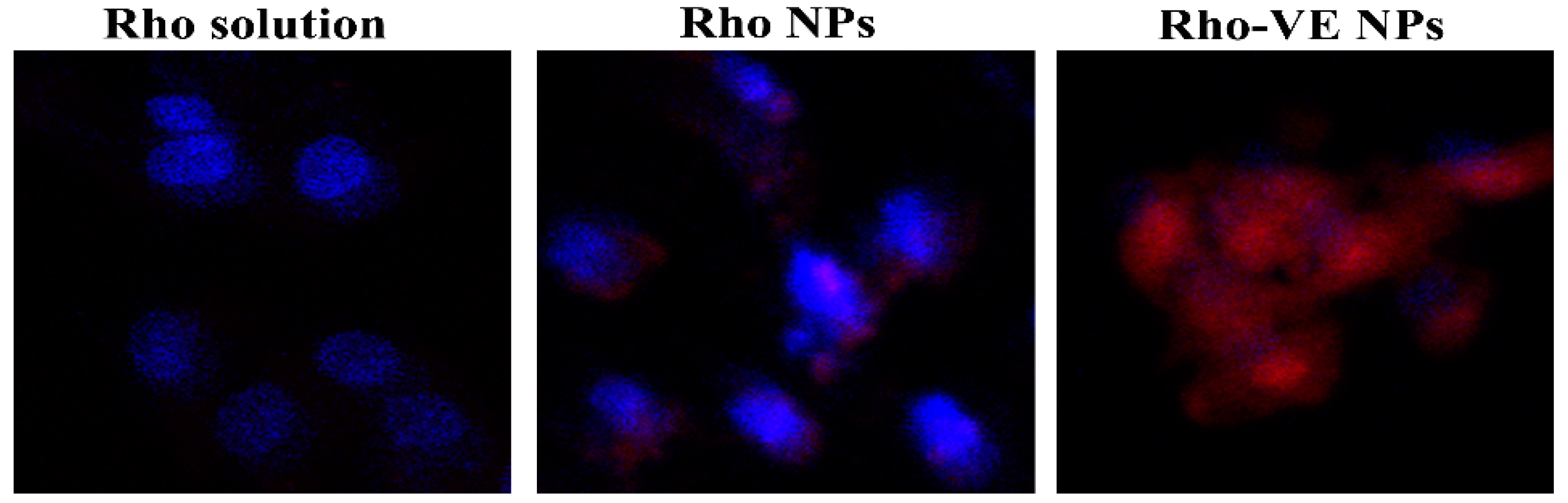 Molecules 23 02760 g005