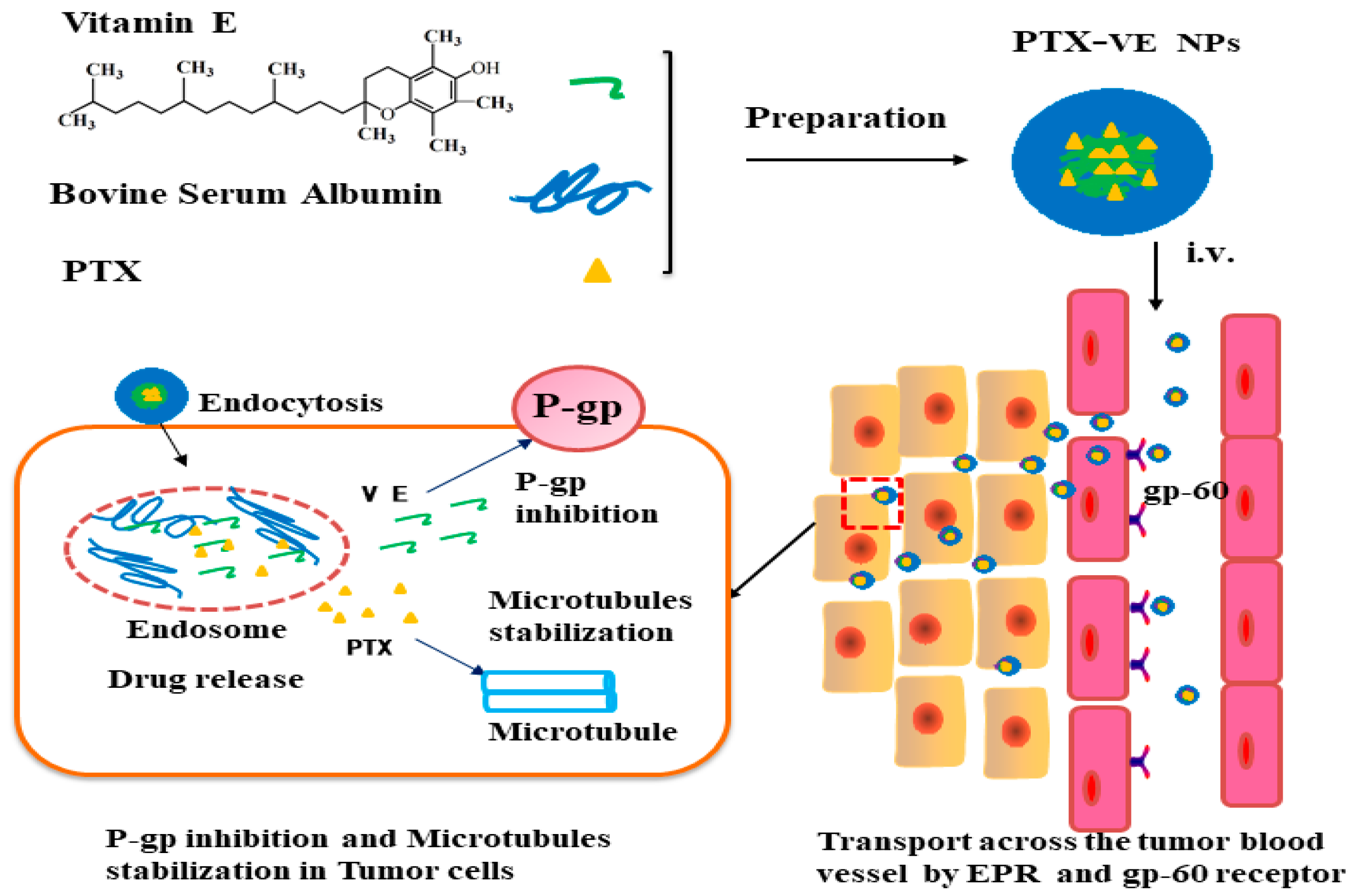 Molecules 23 02760 g007