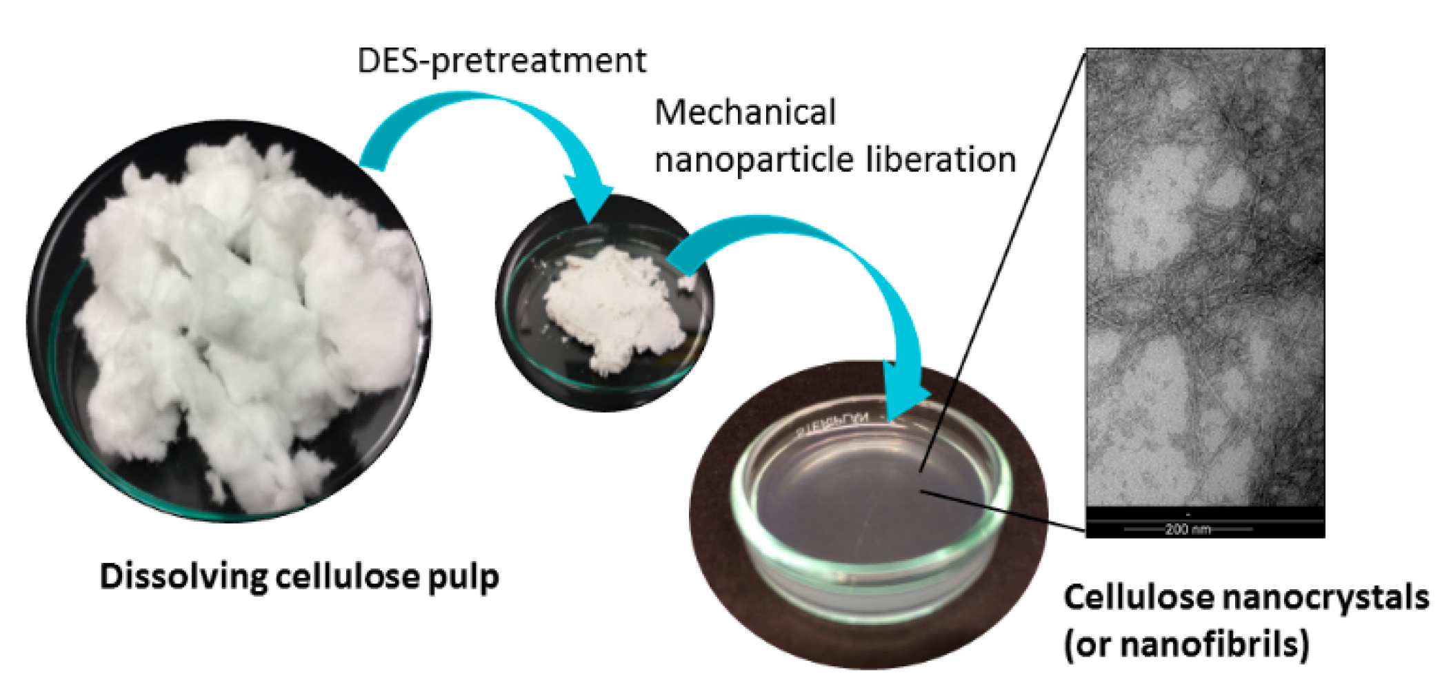 Molecules 23 02765 g001 Molecules 23 02765 g001