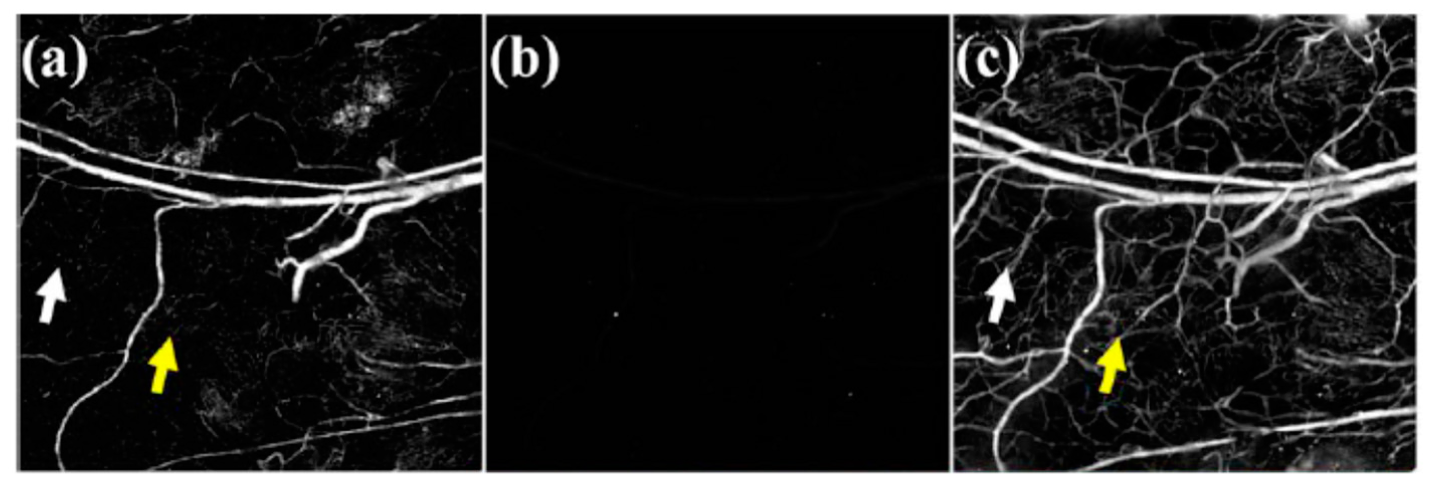 Molecules 23 02766 g001