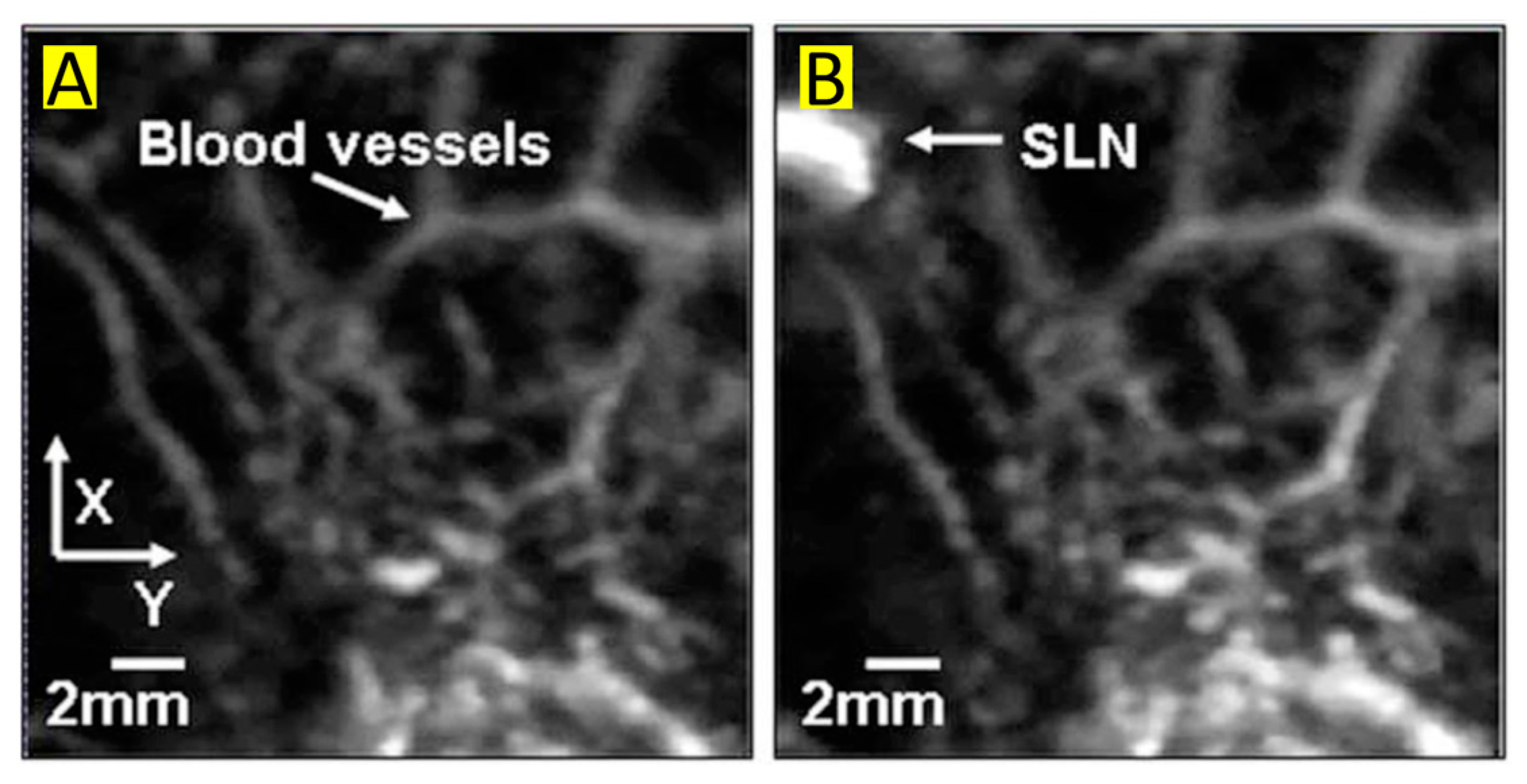 Molecules 23 02766 g003