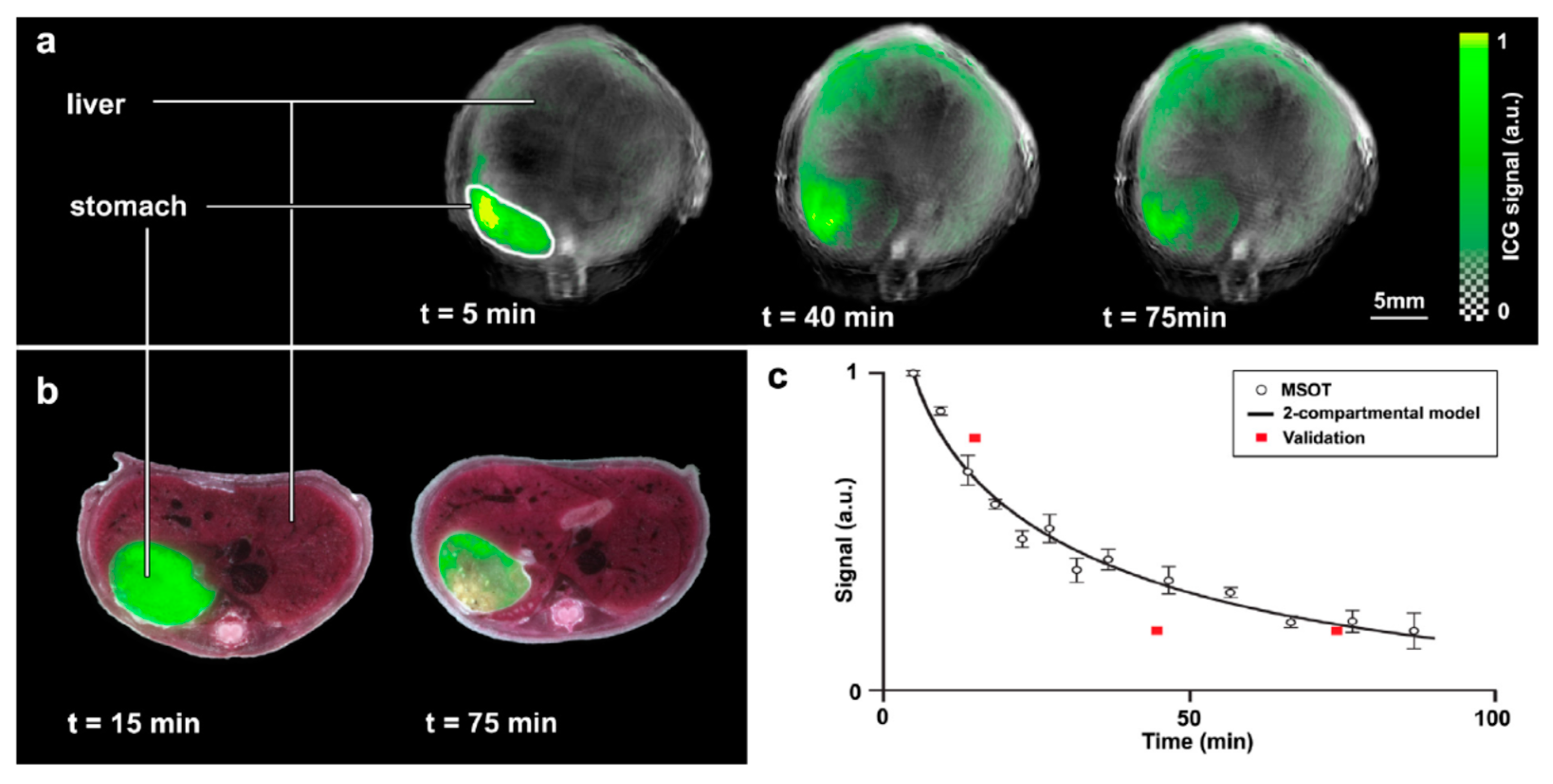Molecules 23 02766 g007