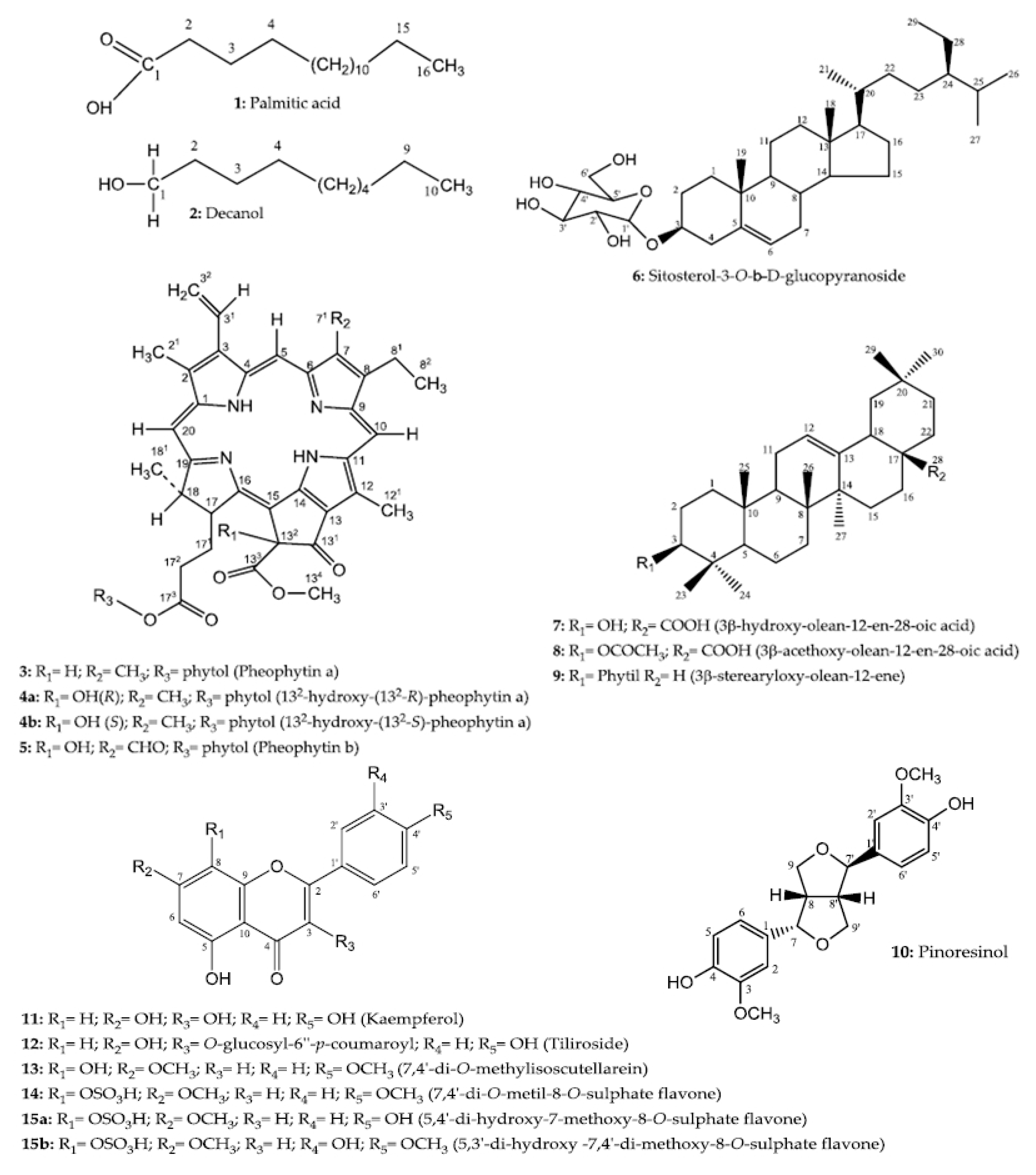 Molecules 23 02784 g001