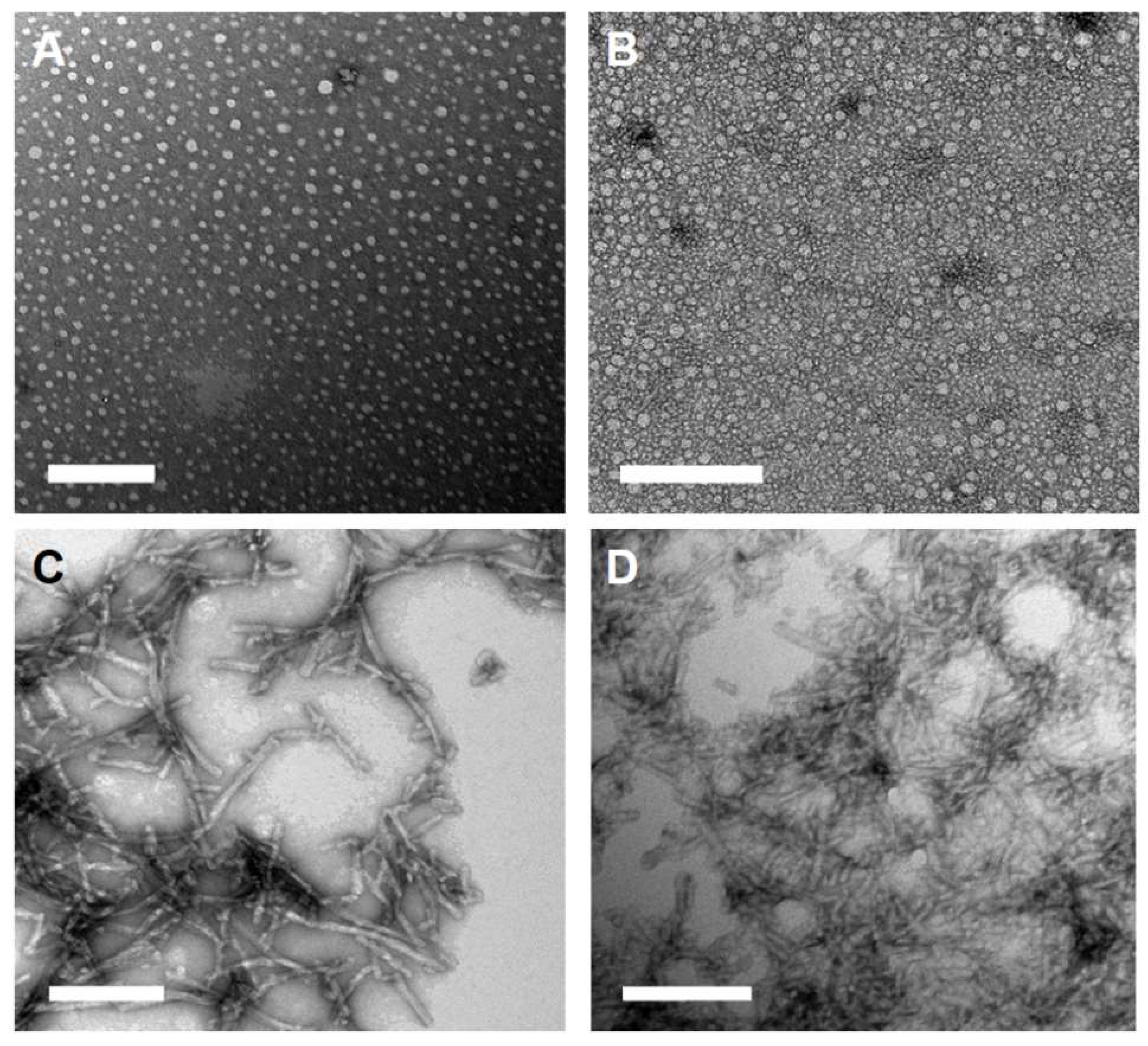 Molecules 23 02786 g001