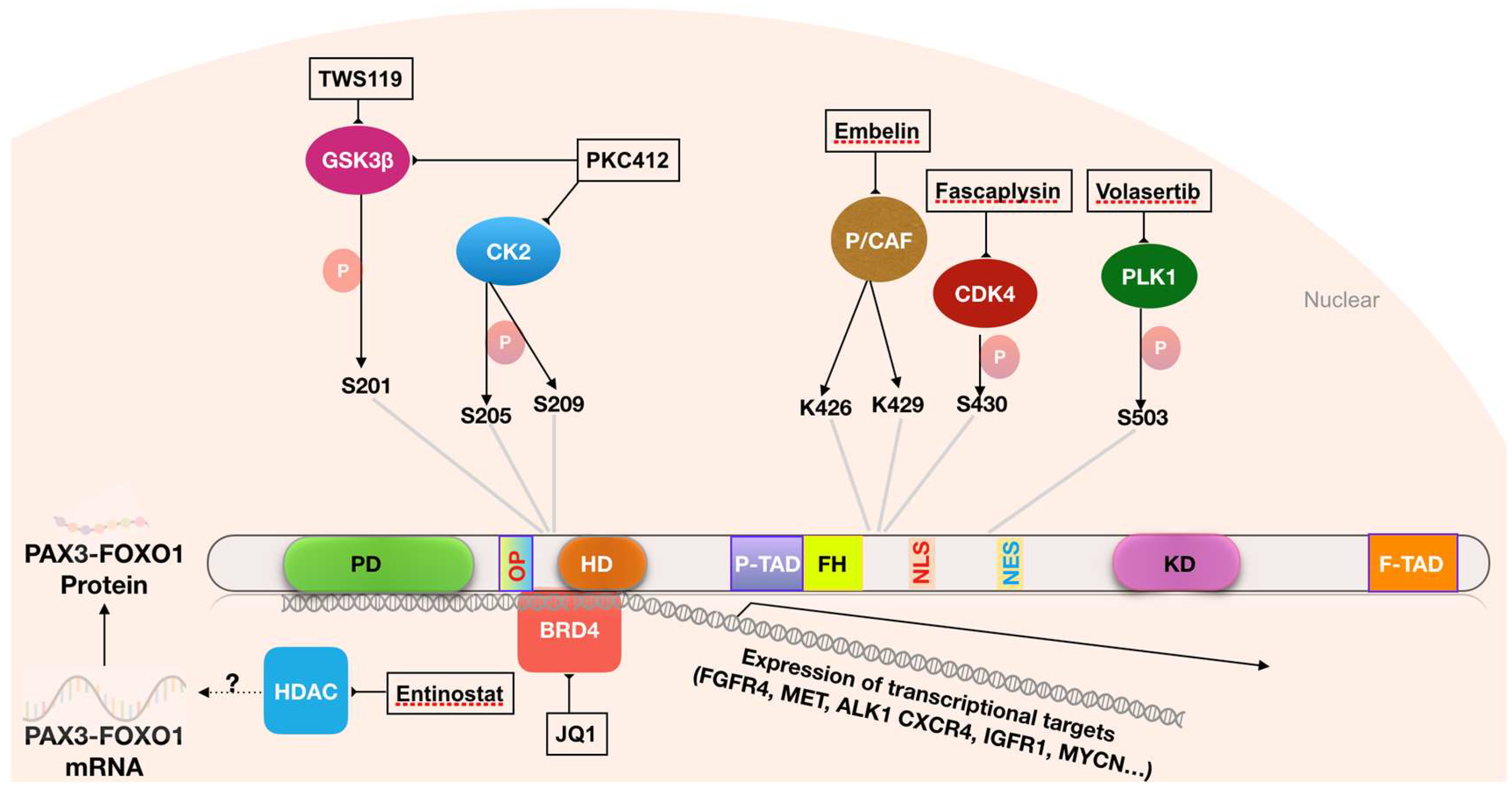 Molecules 23 02798 g002 Molecules 23 02798 g002
