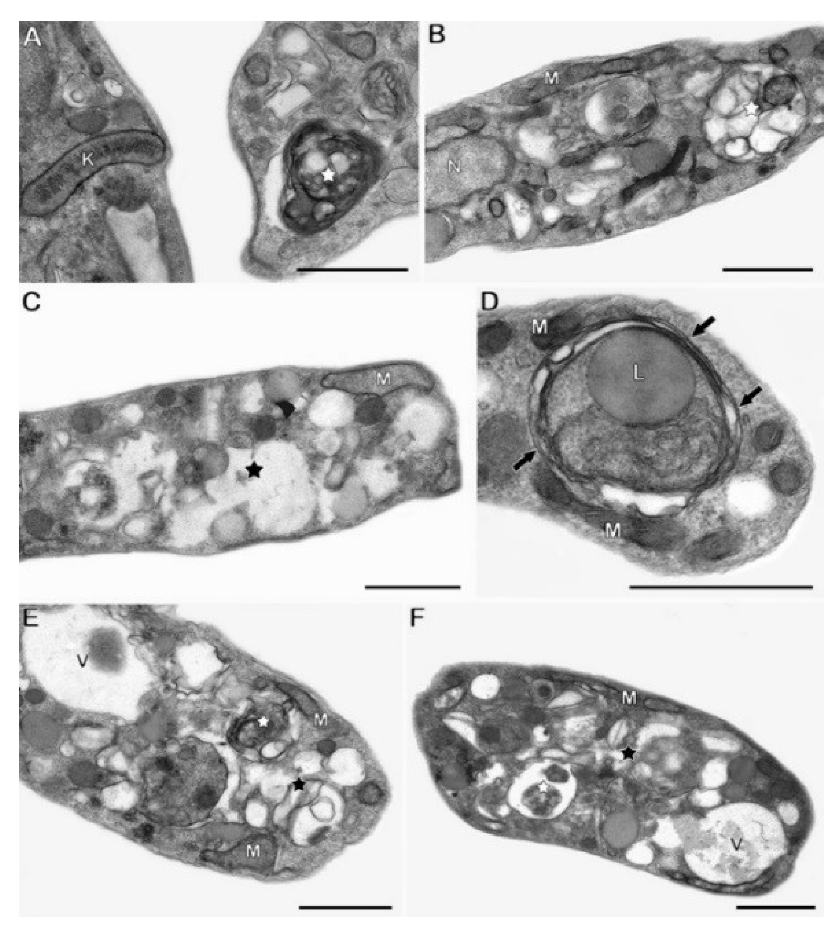 Molecules 23 02800 g004 Molecules 23 02800 g004