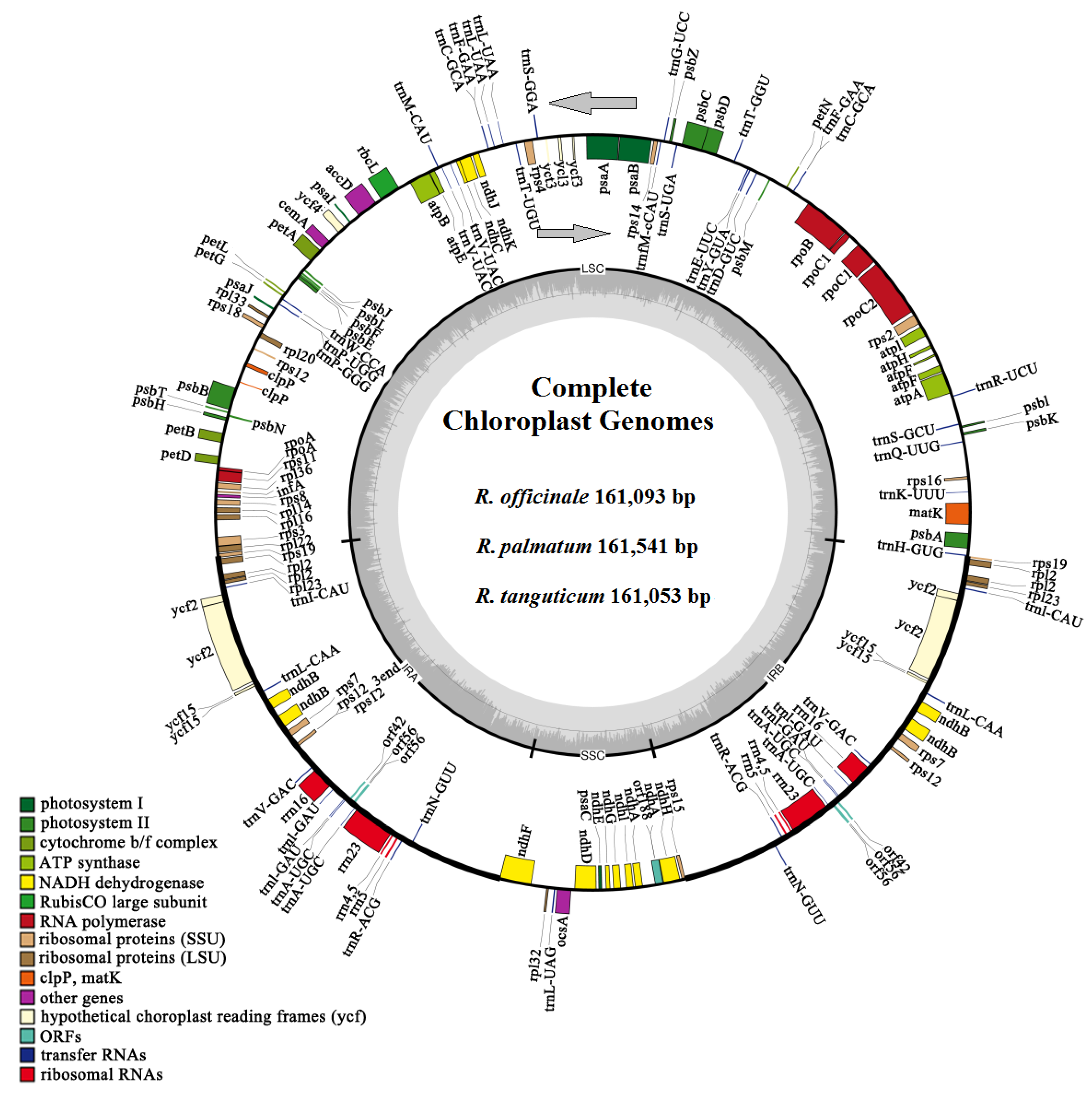 Molecules 23 02811 g001 Molecules 23 02811 g001