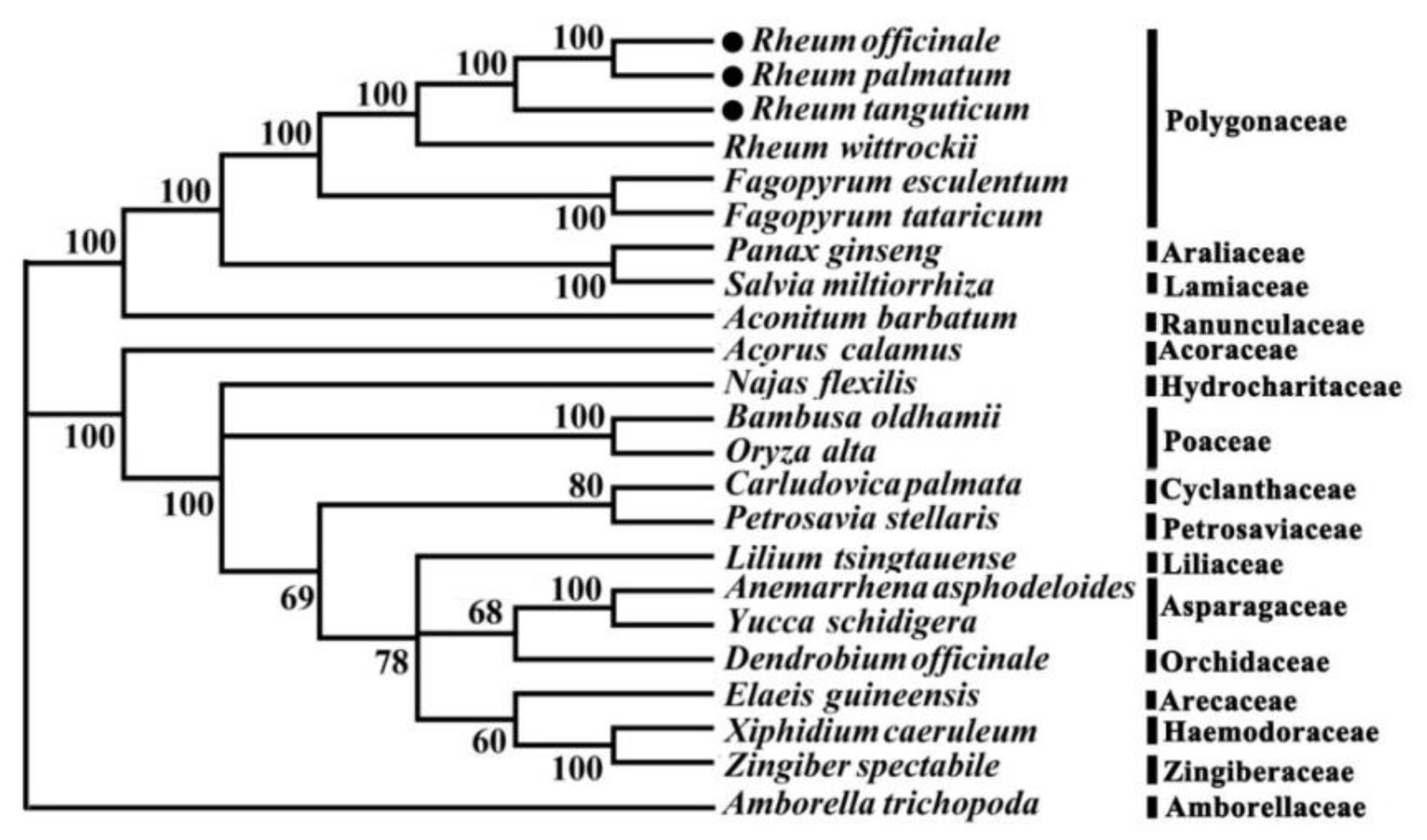 Molecules 23 02811 g003 Molecules 23 02811 g003