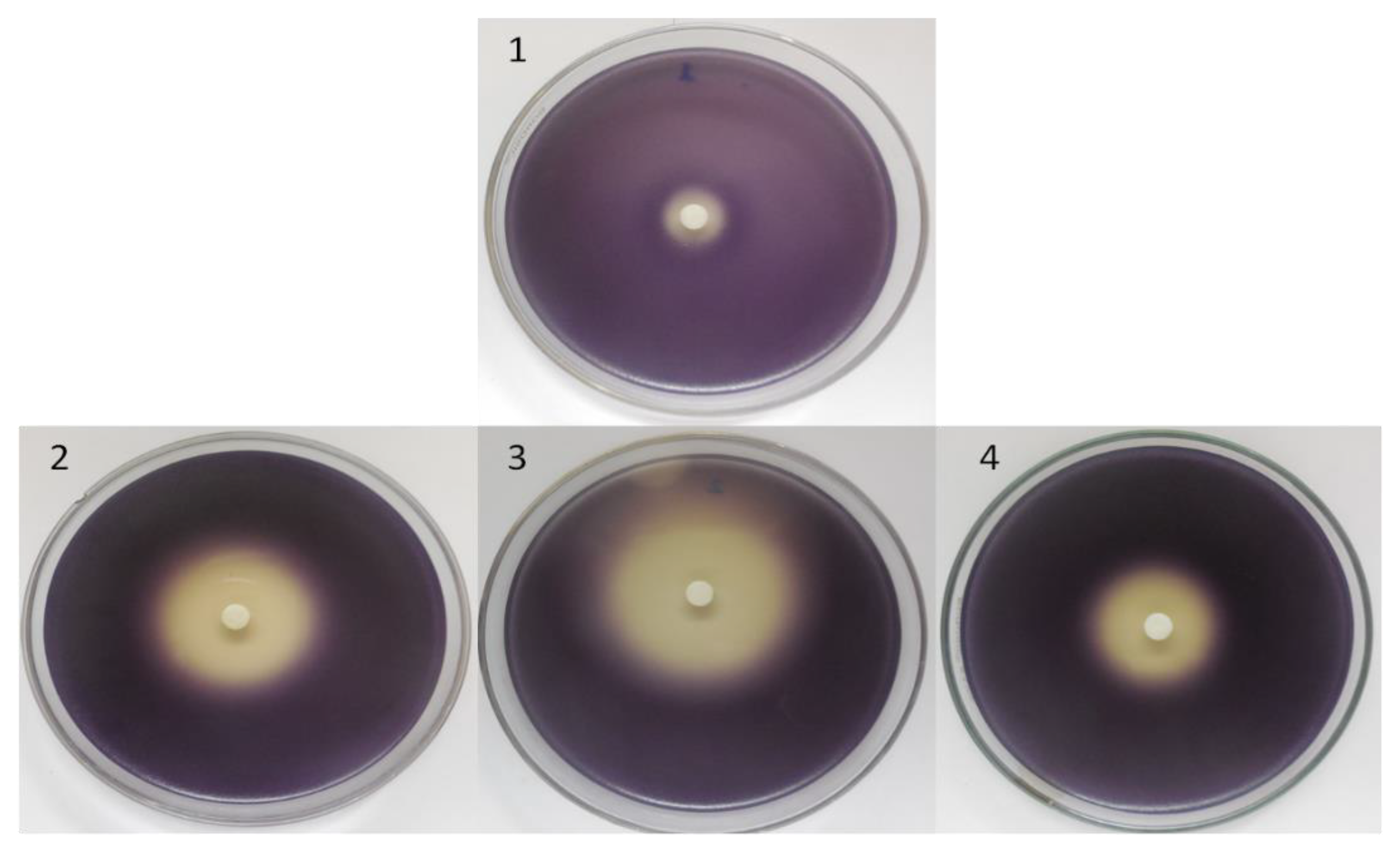 Molecules 23 02818 g003 Molecules 23 02818 g003