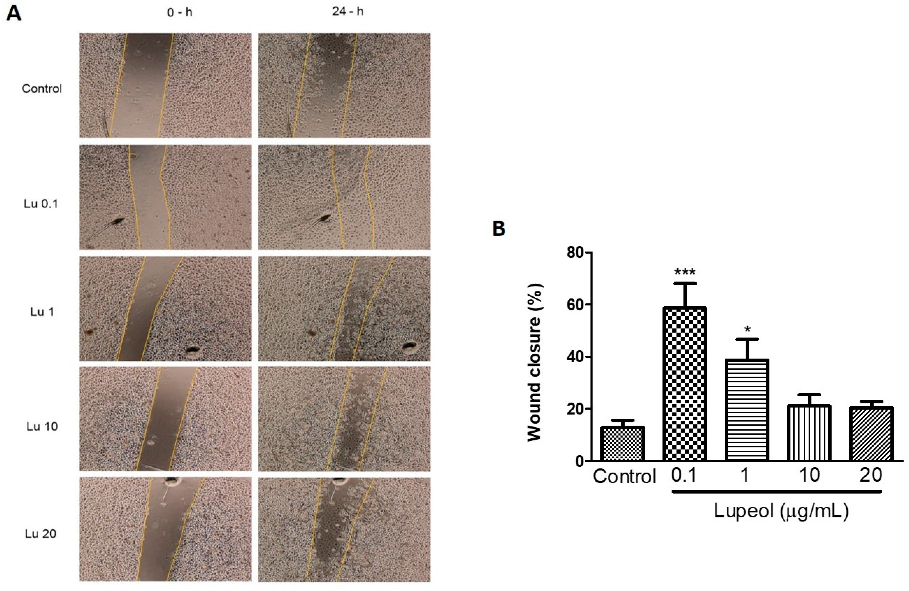 Molecules 23 02819 g003