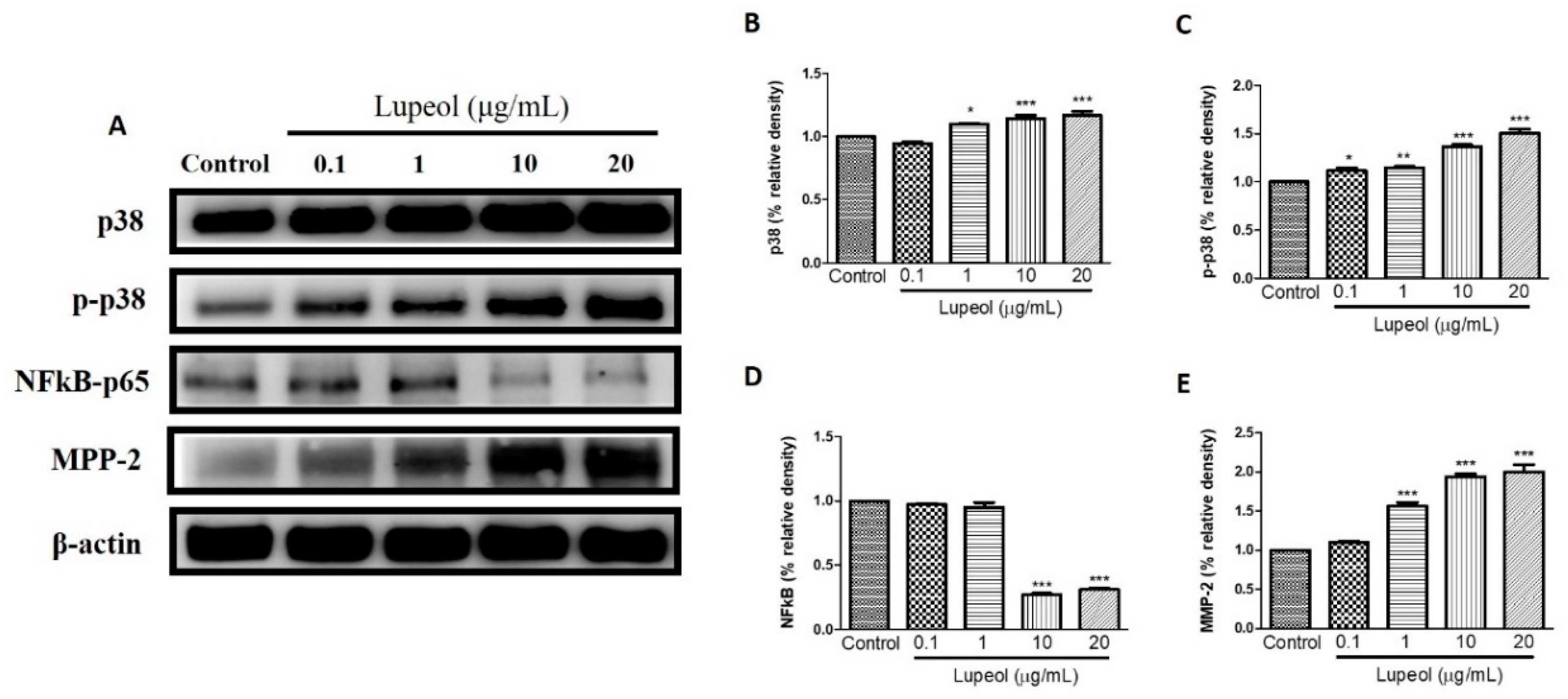 Molecules 23 02819 g007