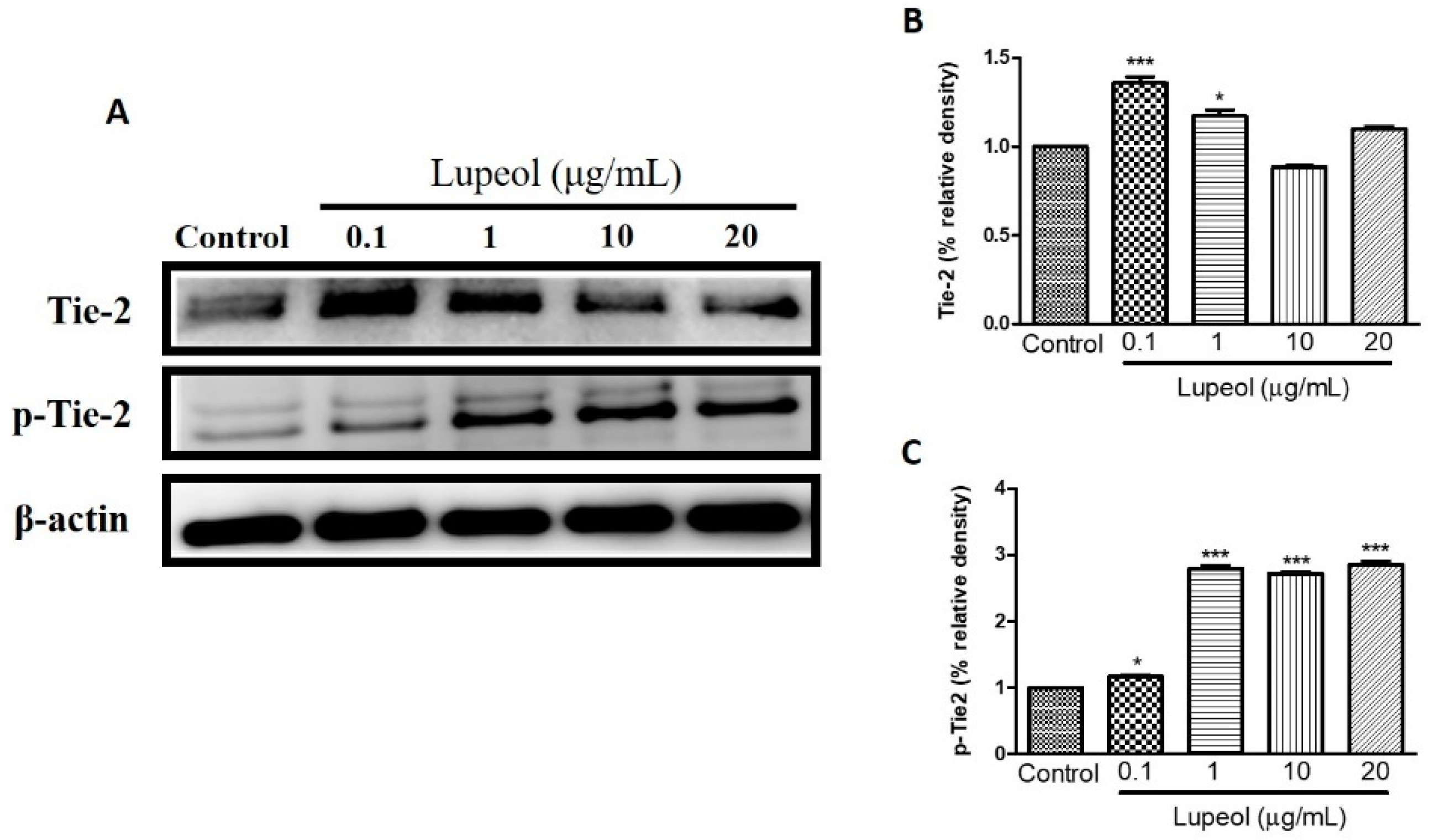 Molecules 23 02819 g008