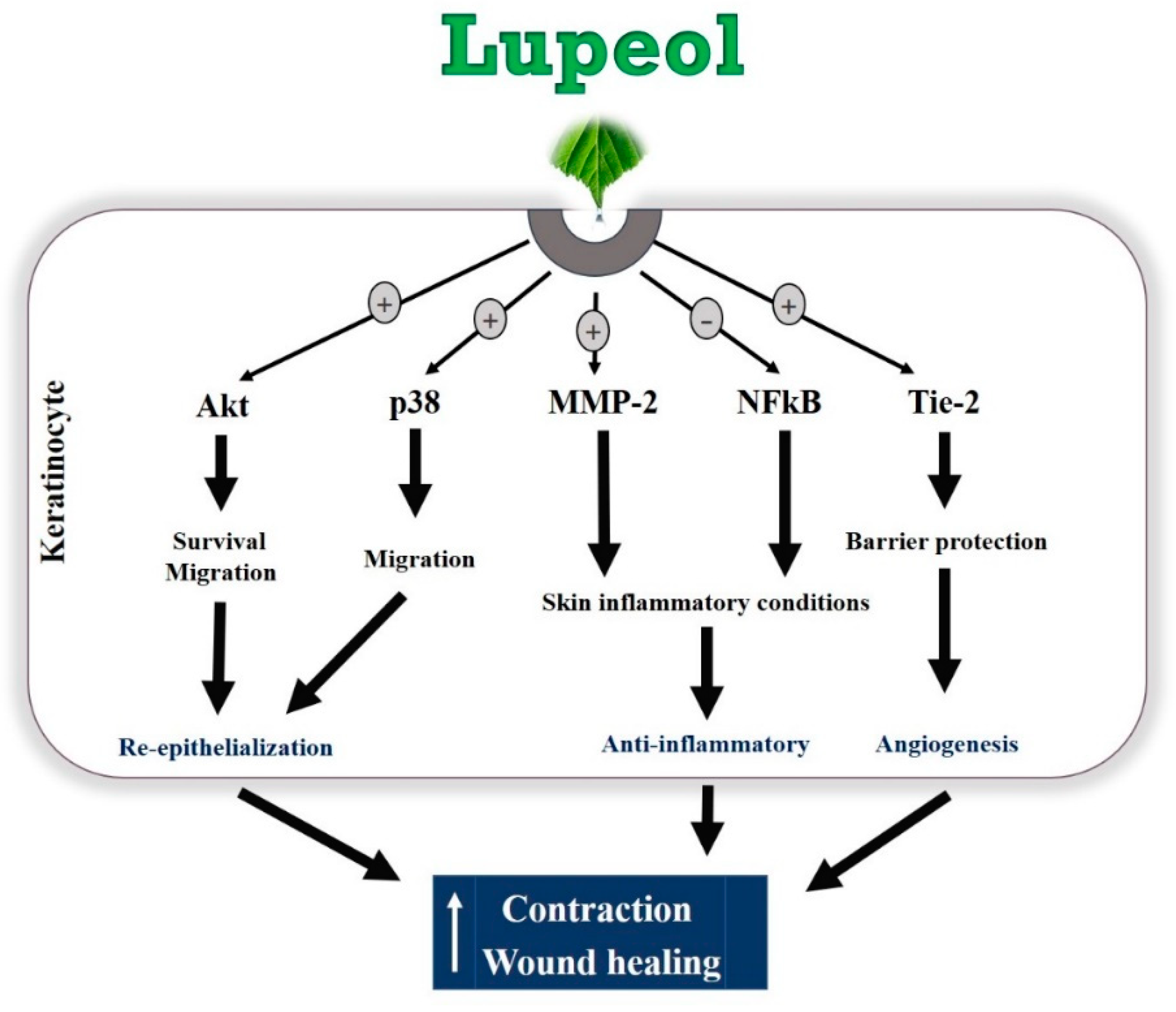 Molecules 23 02819 g010