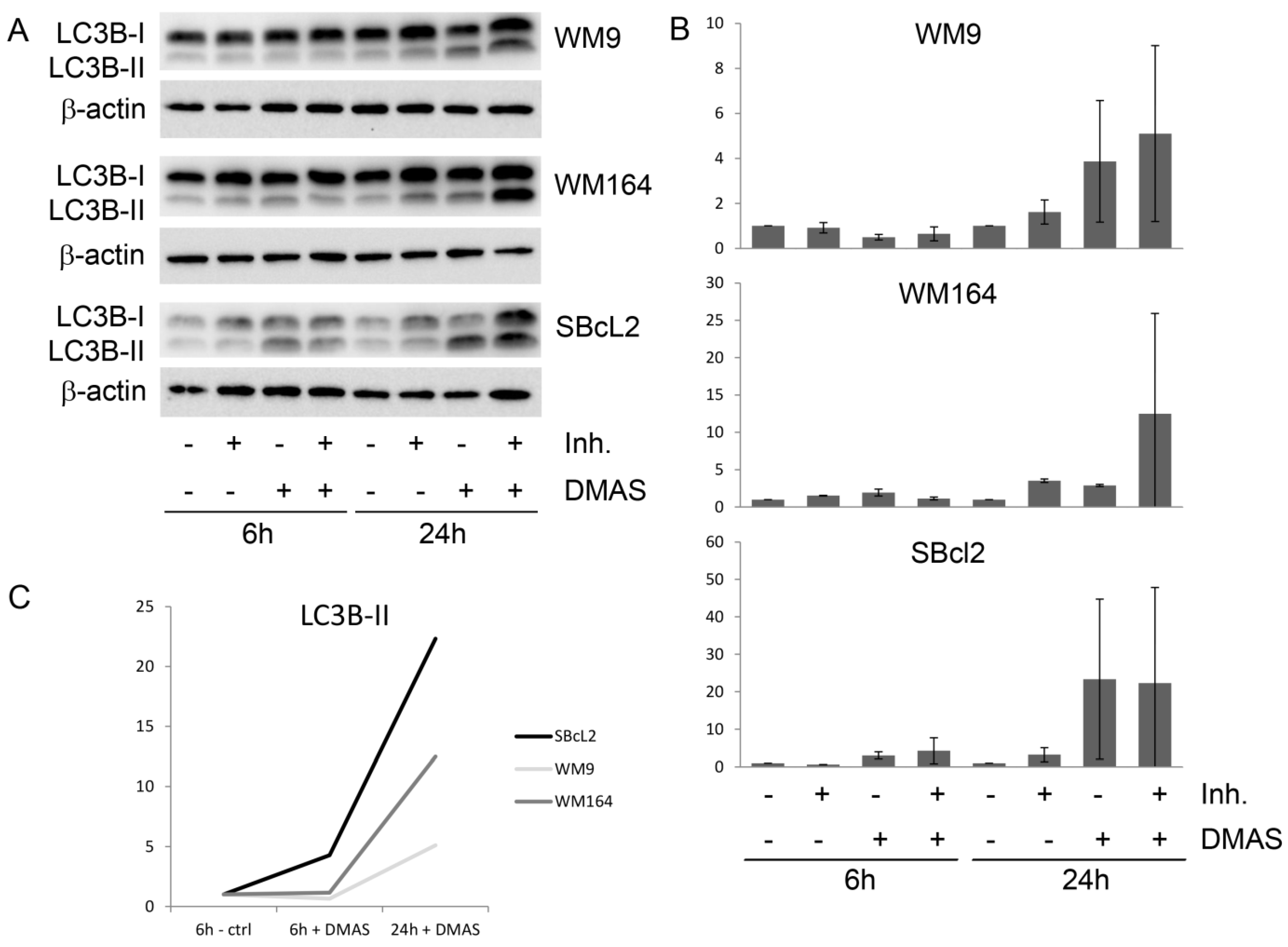 Molecules 23 02823 g004 Molecules 23 02823 g004