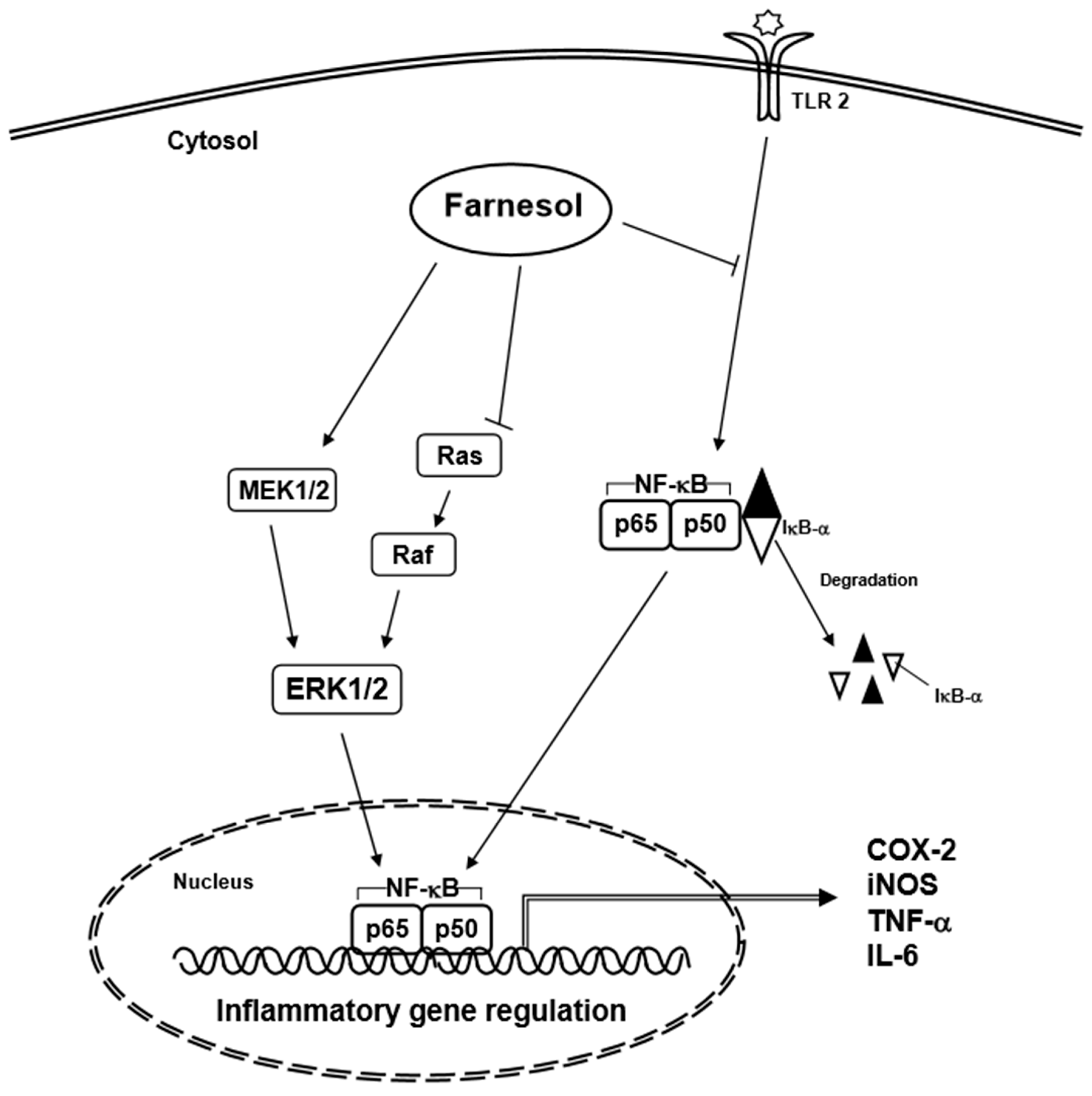 Molecules 23 02827 g003 Molecules 23 02827 g003