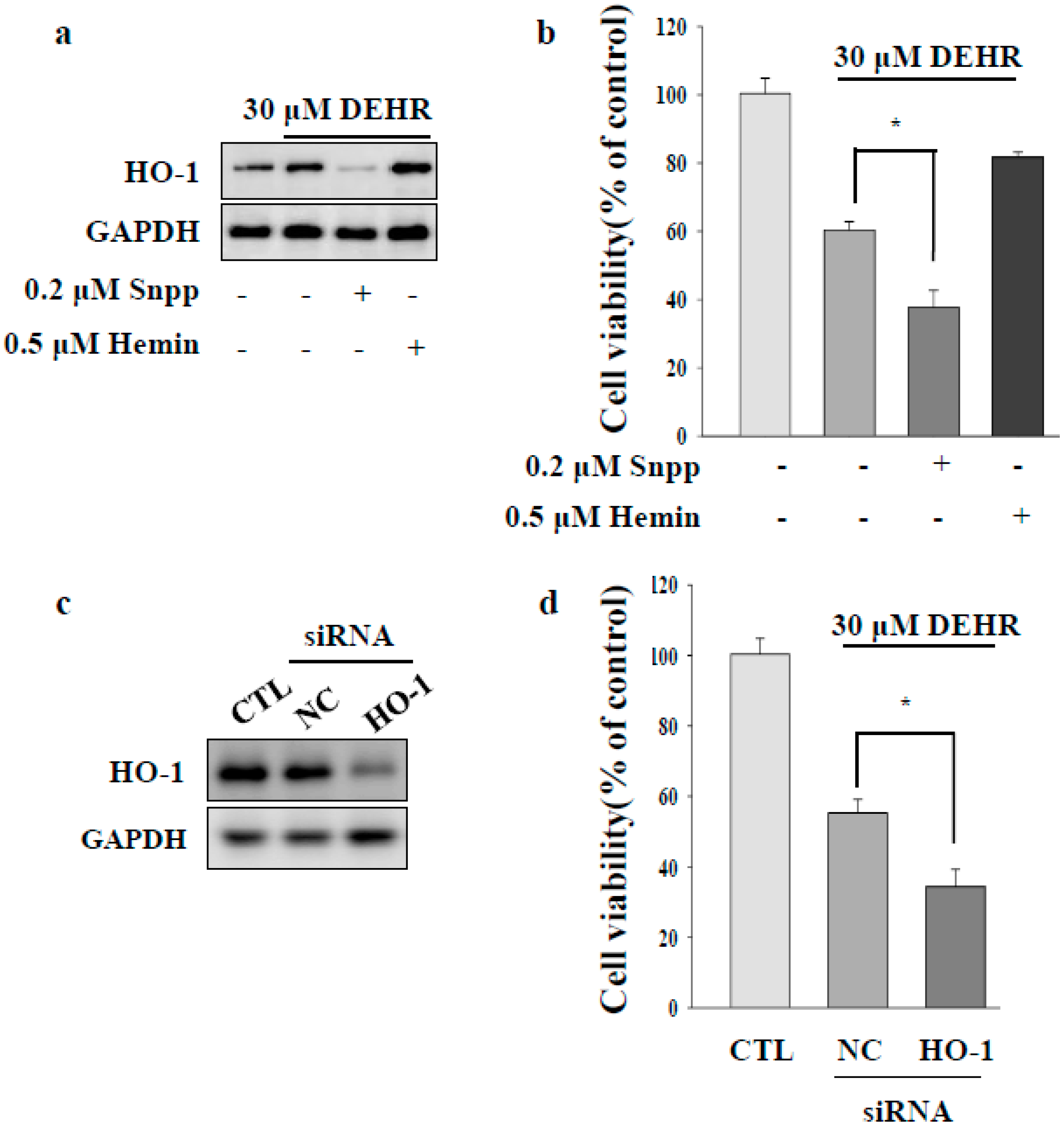 Molecules 23 02833 g002 Molecules 23 02833 g002