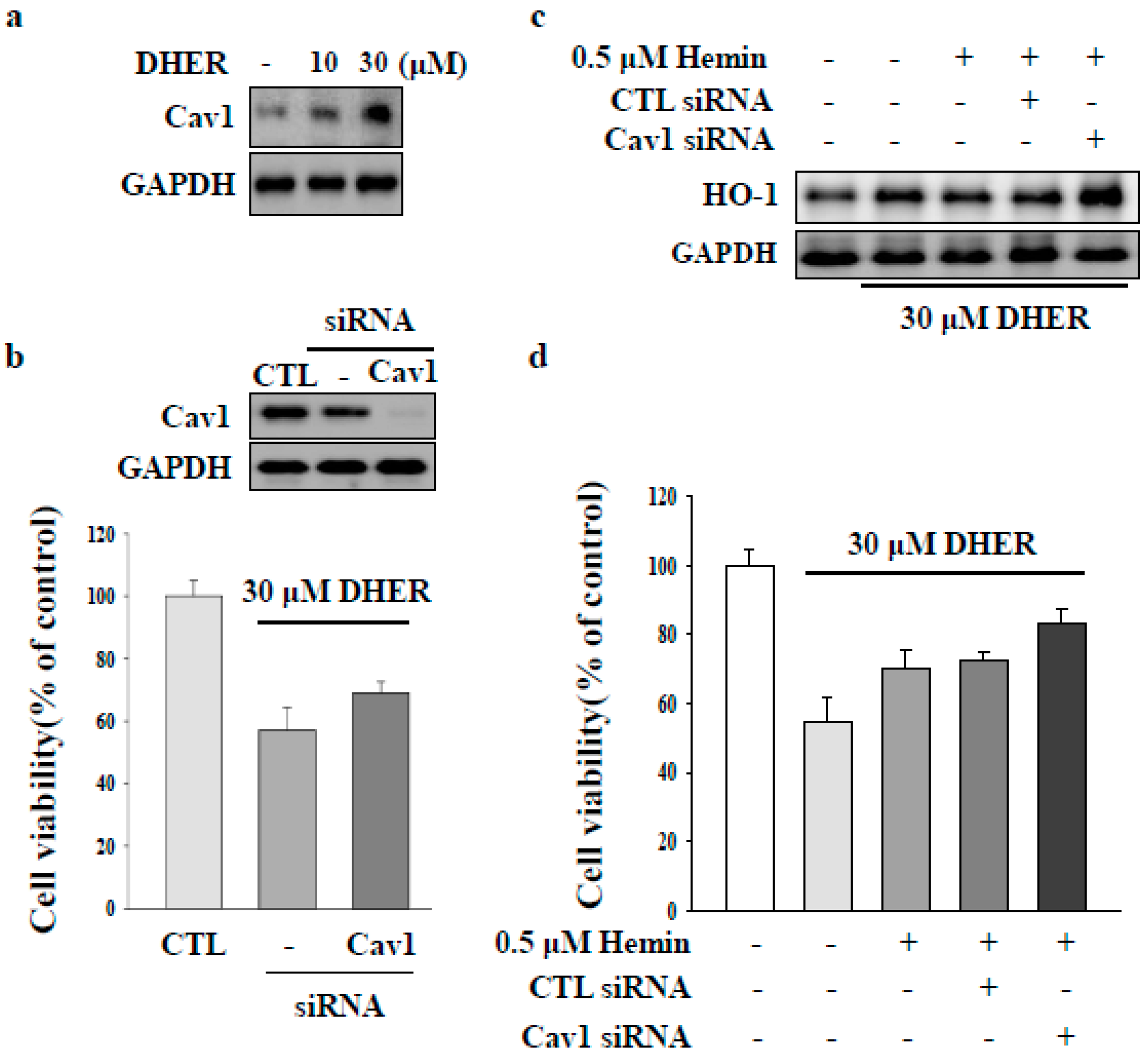 Molecules 23 02833 g004 Molecules 23 02833 g004