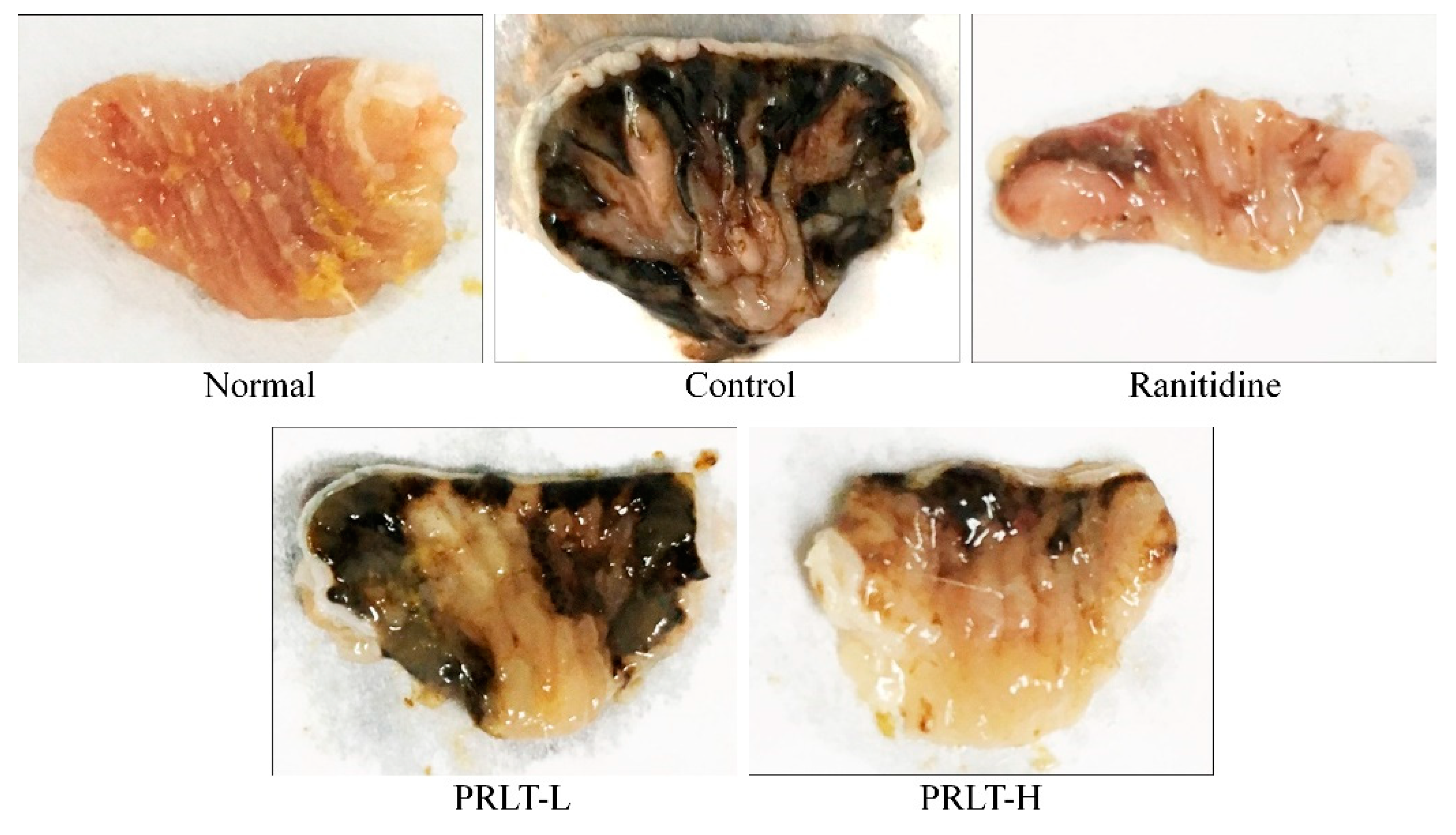 Molecules 23 02848 g002