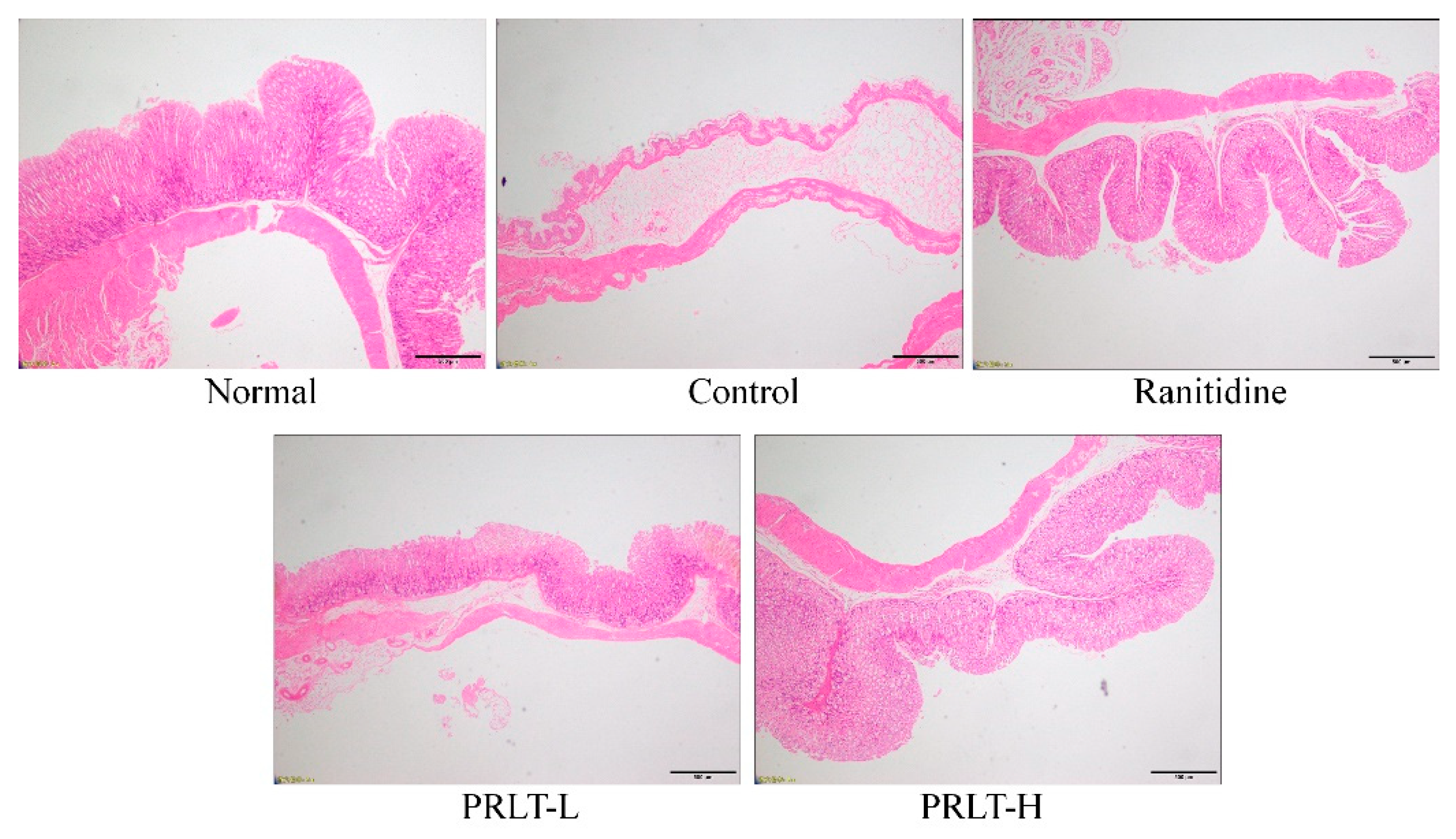 Molecules 23 02848 g003