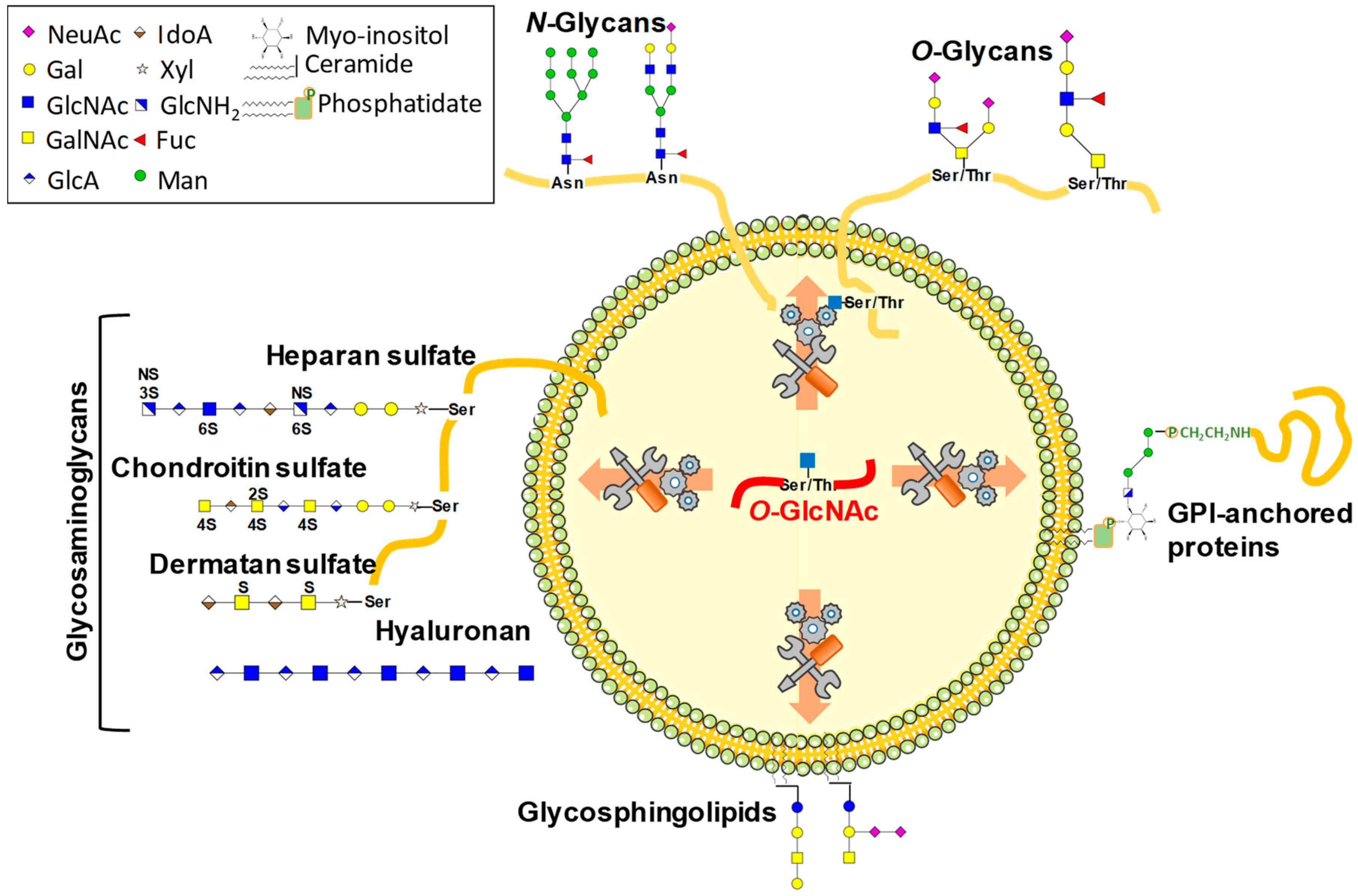 Molecules 23 02858 g001 Molecules 23 02858 g001