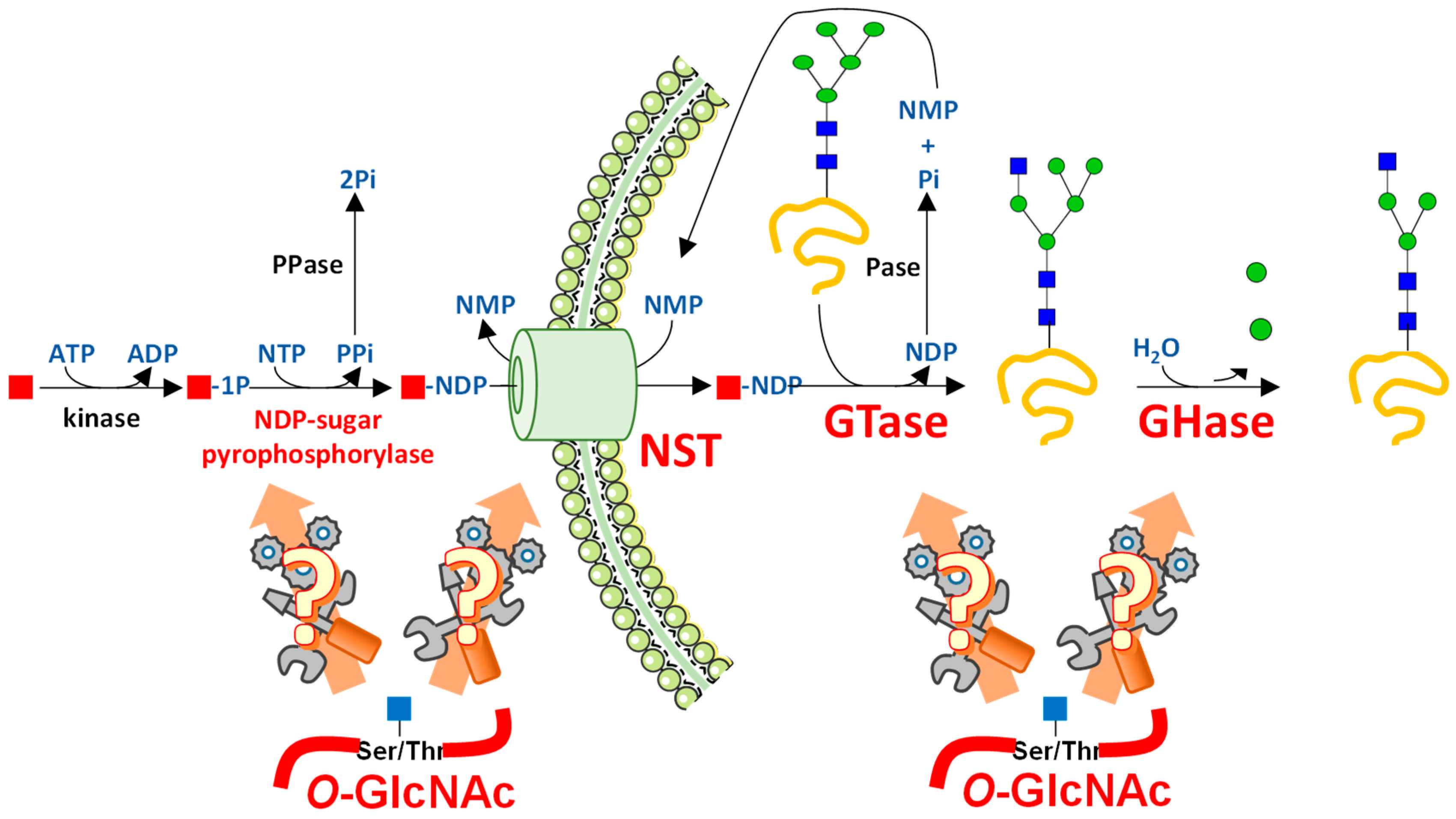 Molecules 23 02858 g002 Molecules 23 02858 g002