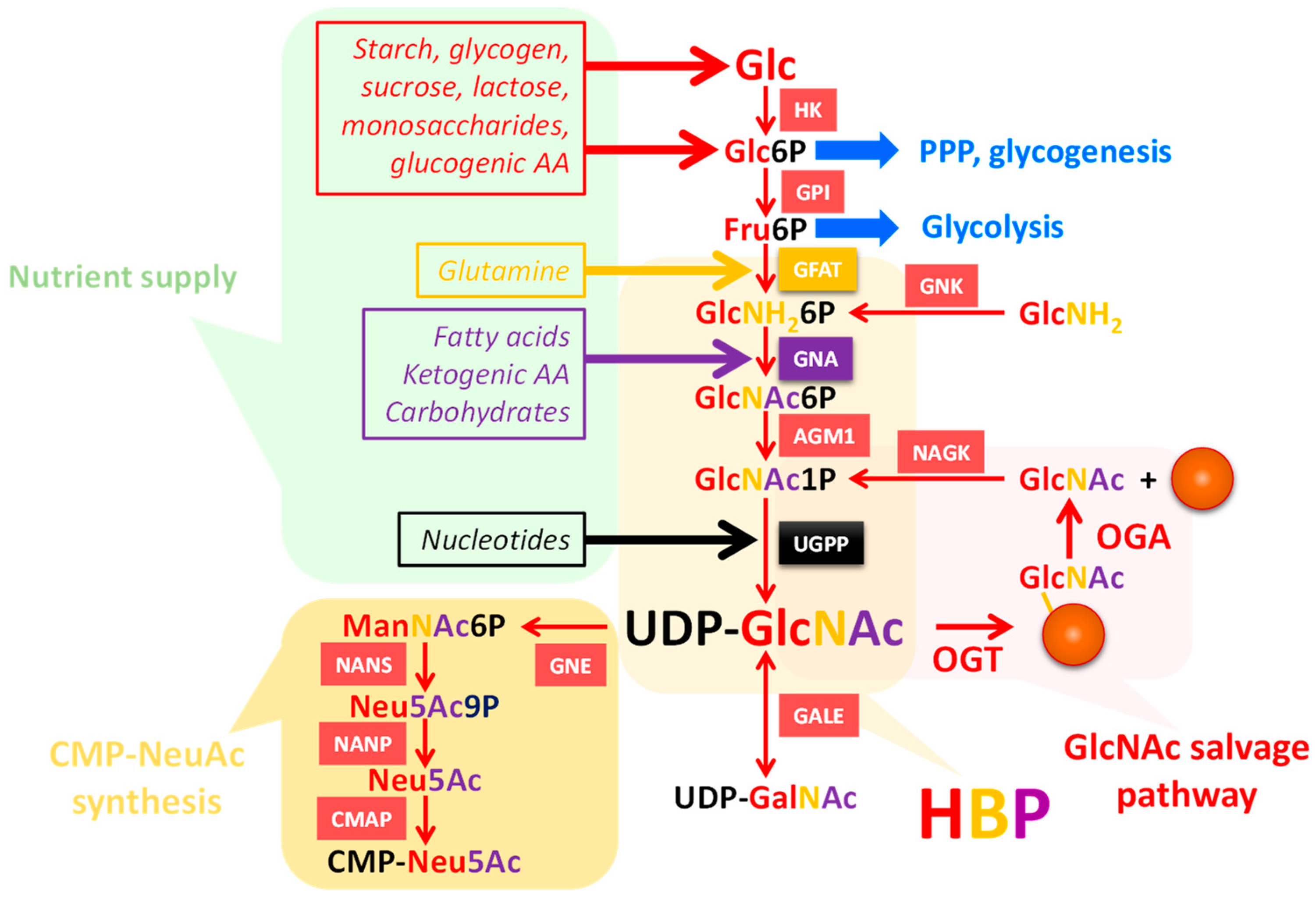 Molecules 23 02858 g003 Molecules 23 02858 g003