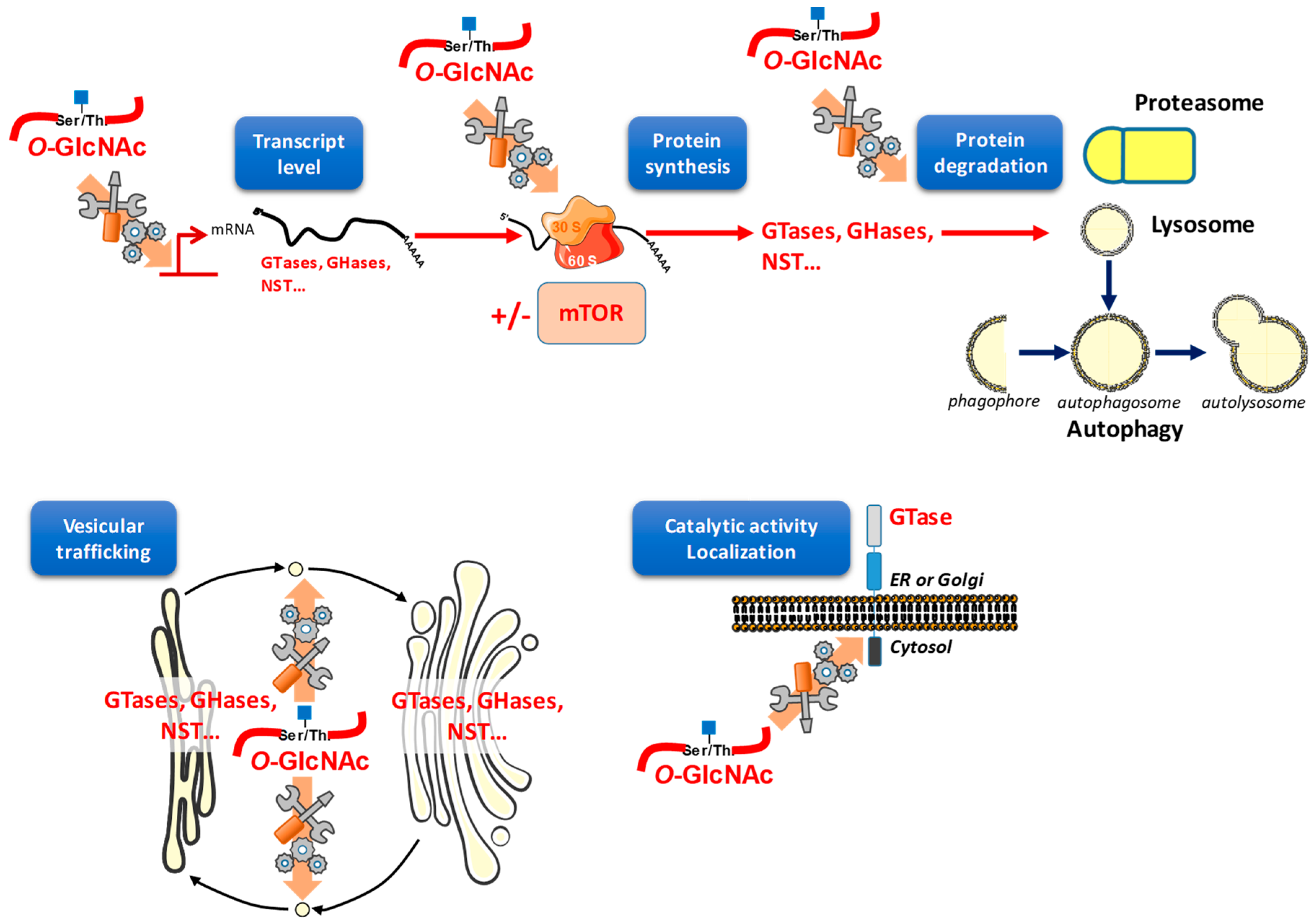 Molecules 23 02858 g004 Molecules 23 02858 g004