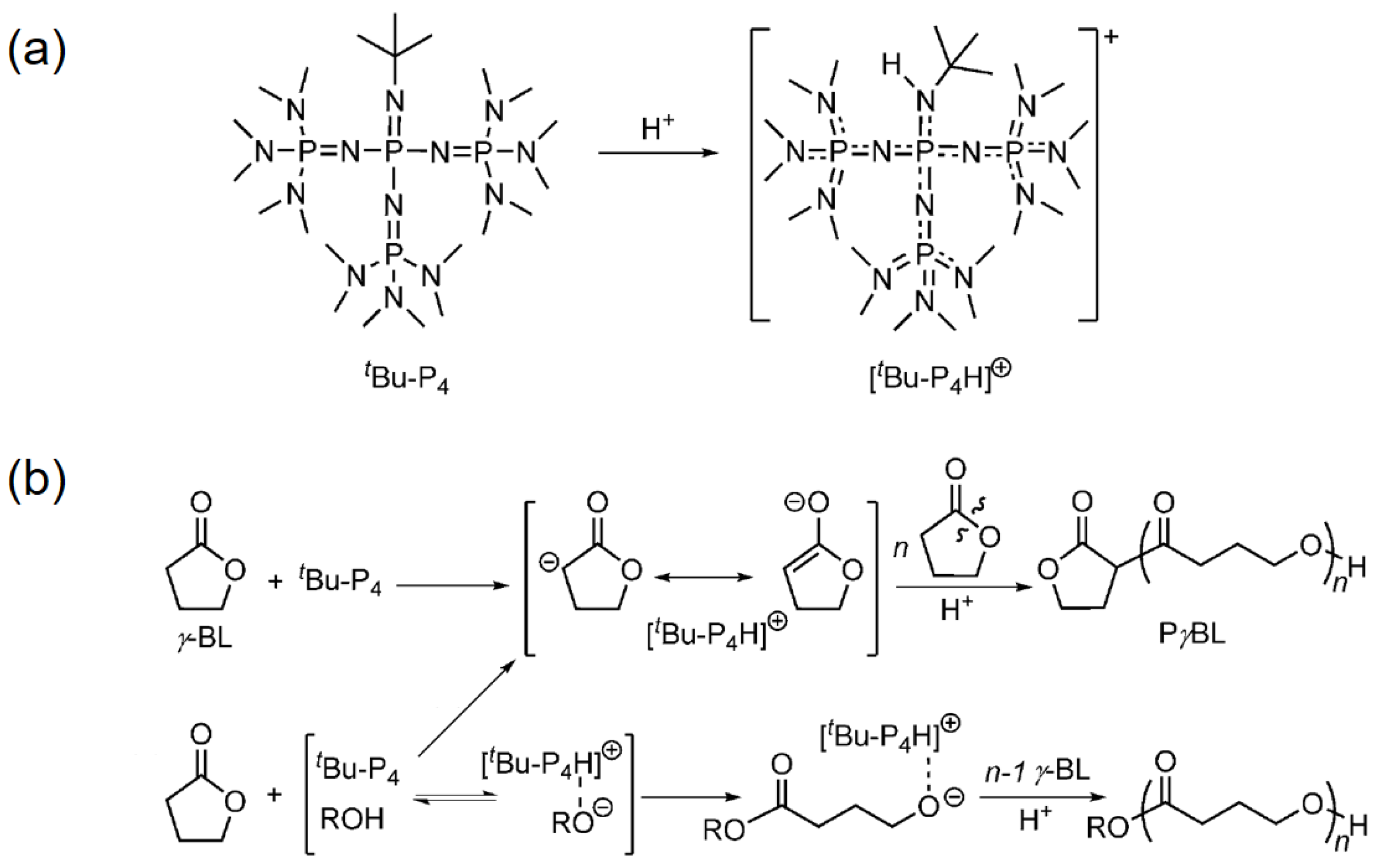 Molecules 23 02870 g003 Molecules 23 02870 g003