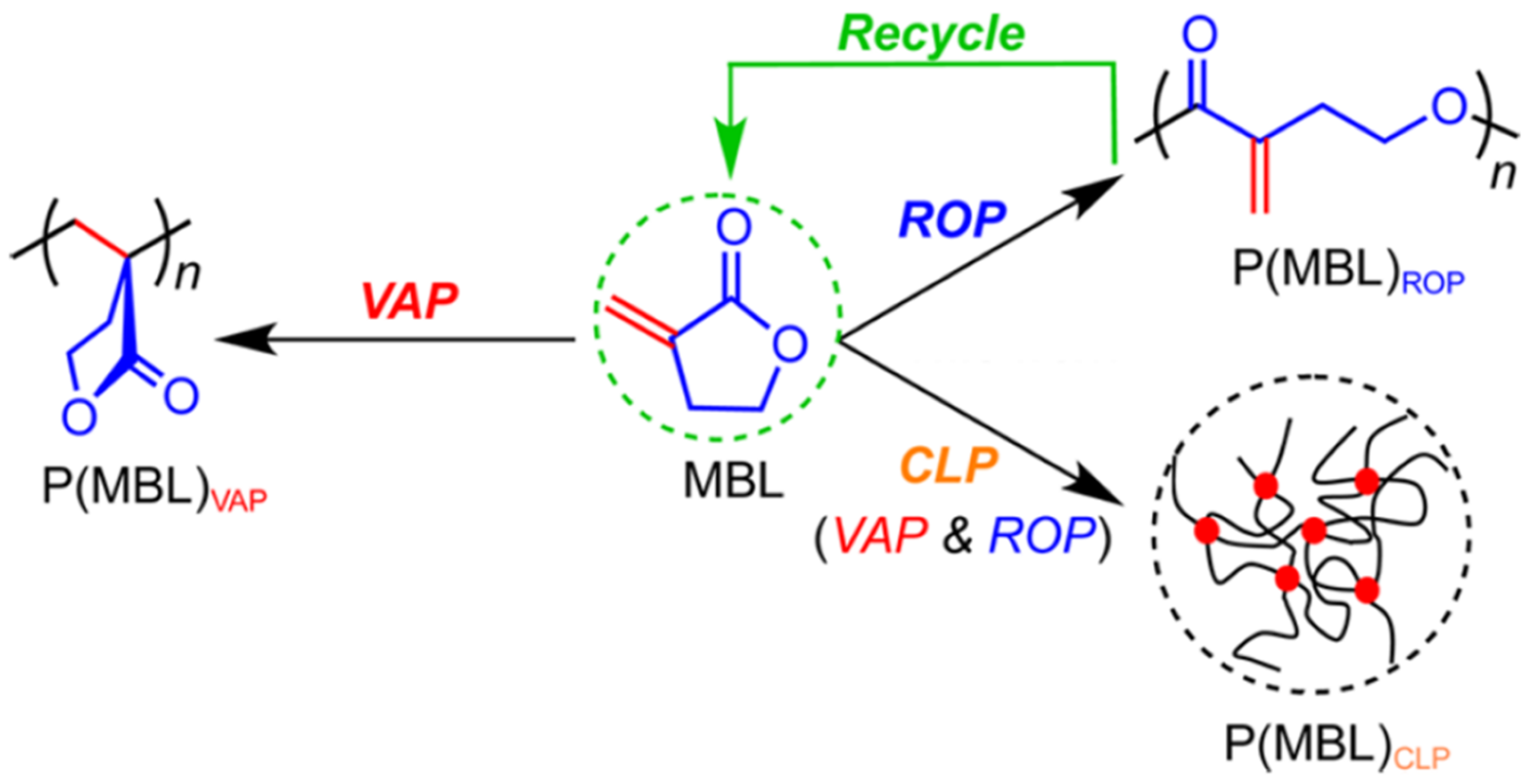 Molecules 23 02870 g004 Molecules 23 02870 g004