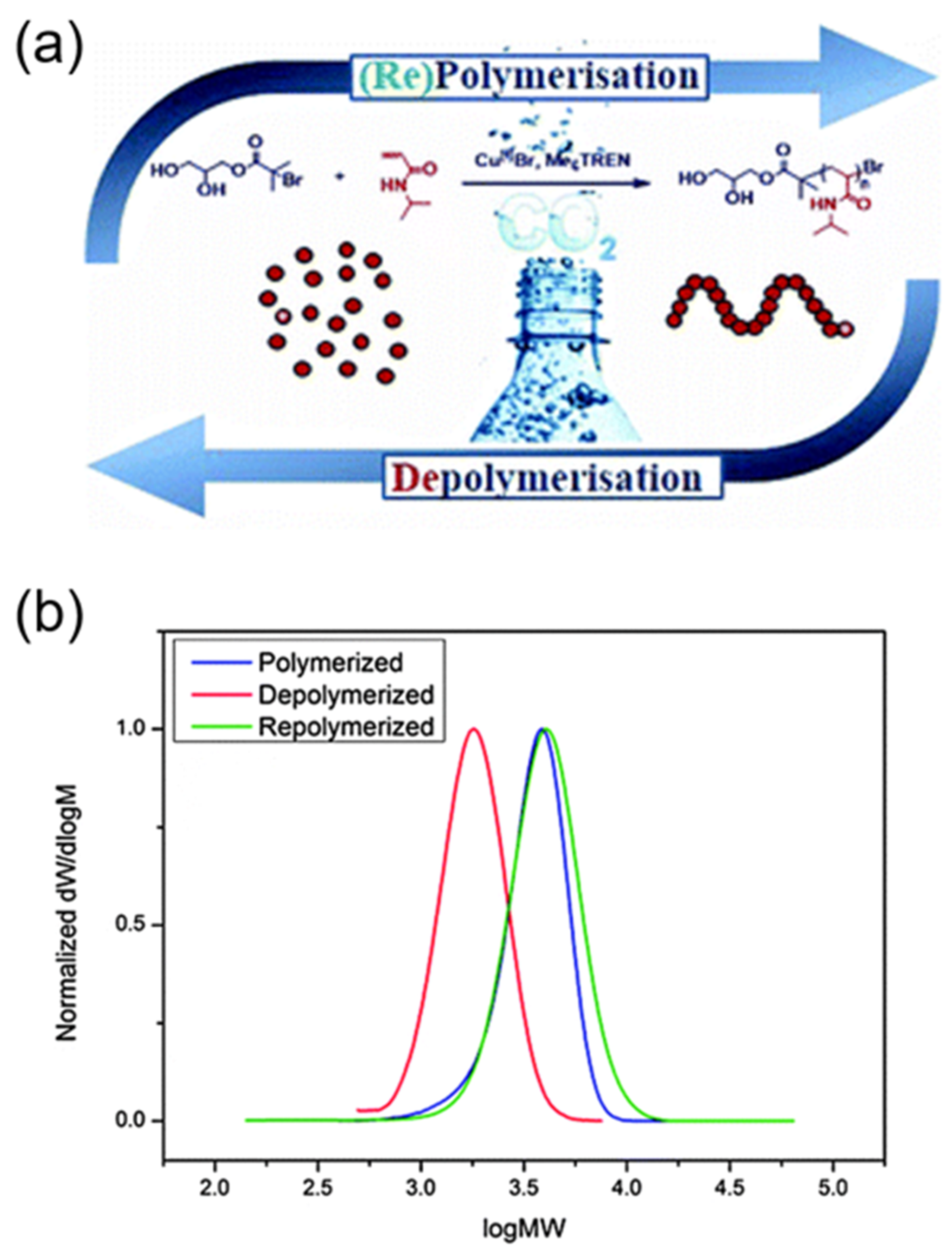 Molecules 23 02870 g008 Molecules 23 02870 g008
