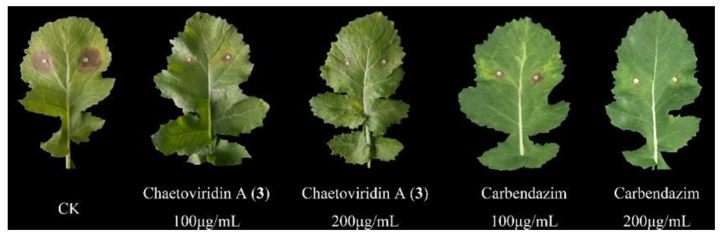Molecules 23 02873 g004