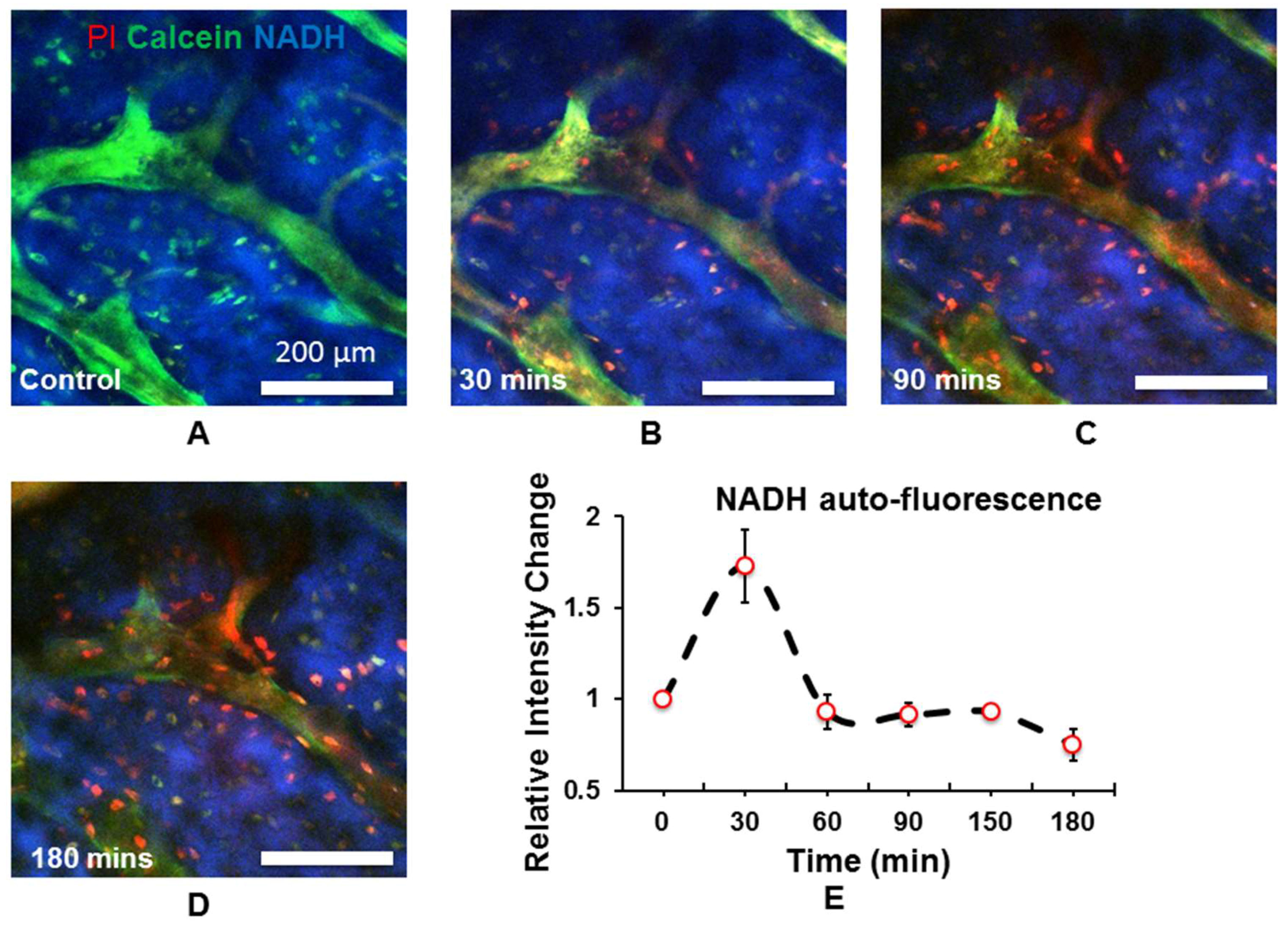 Molecules 23 02874 g005