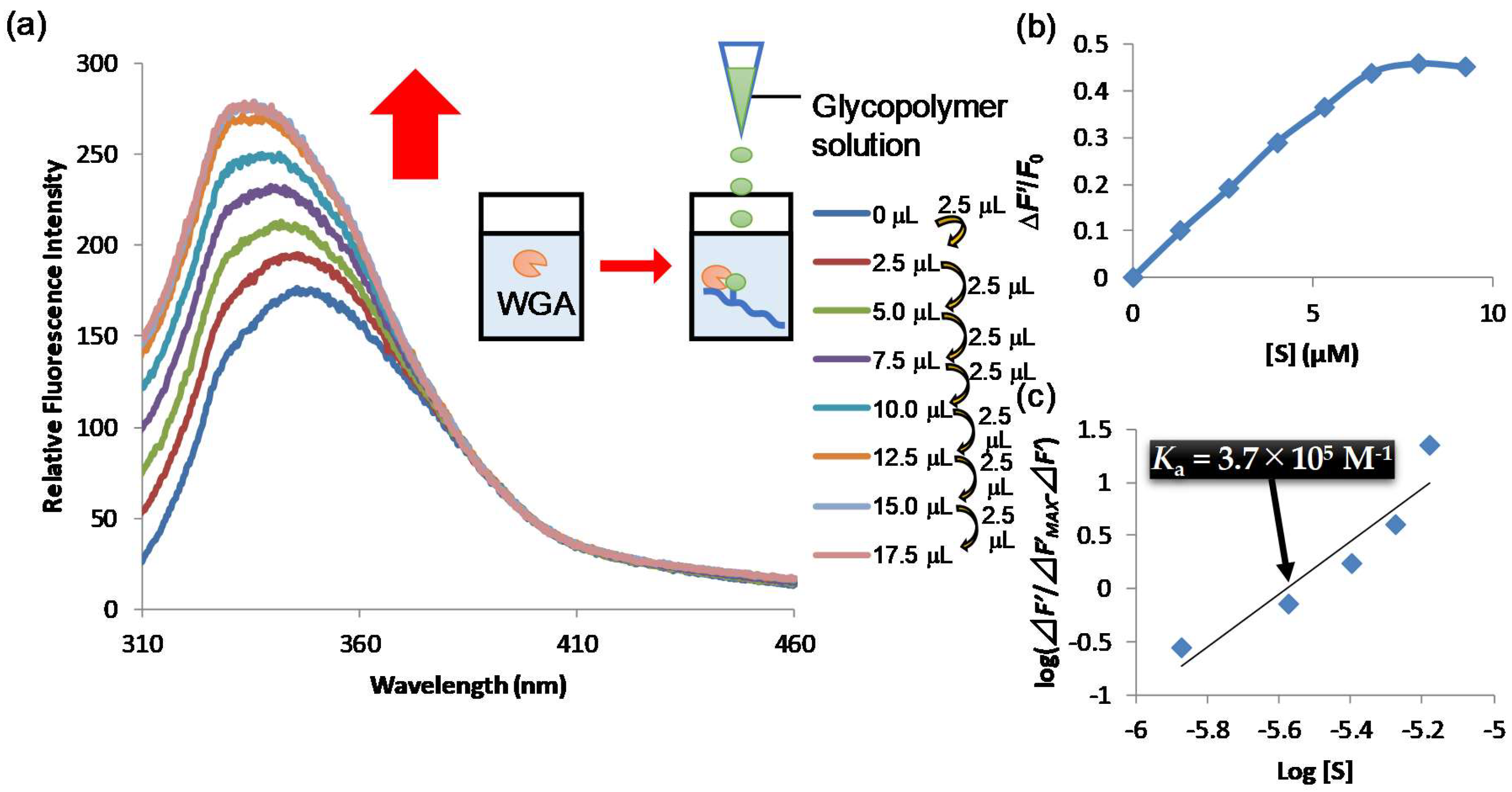 Molecules 23 02875 g001