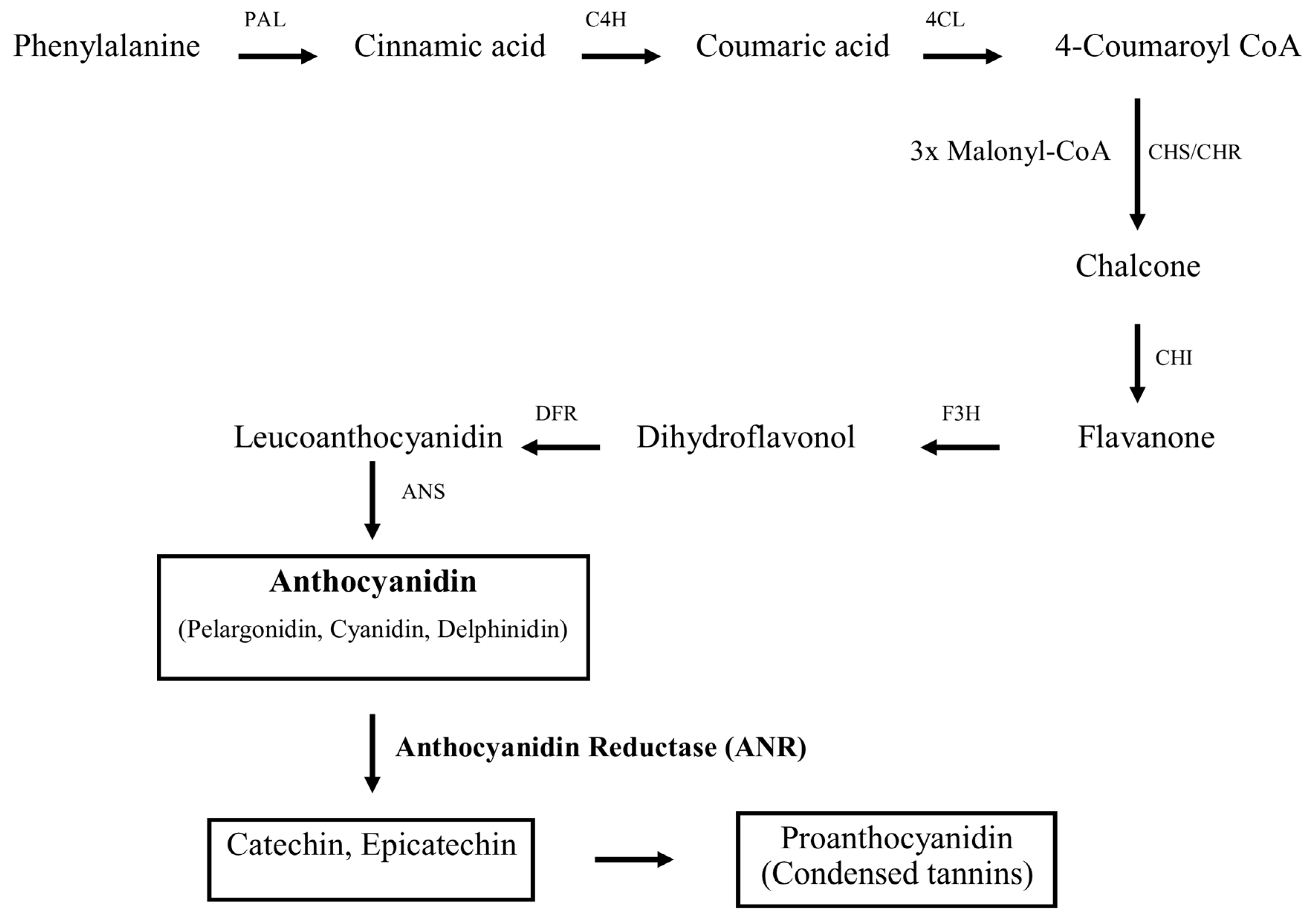 Molecules 23 02876 g001