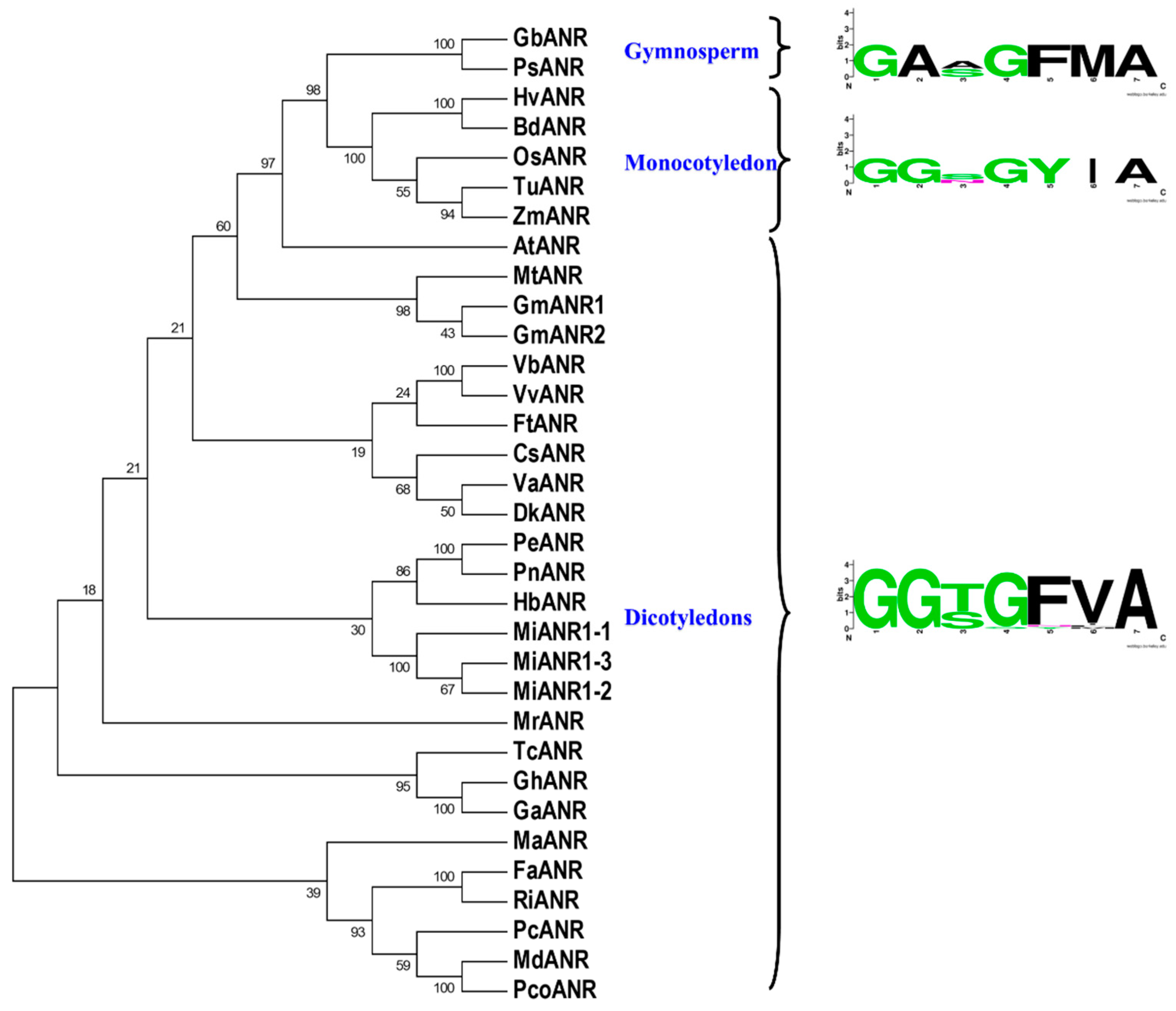 Molecules 23 02876 g003