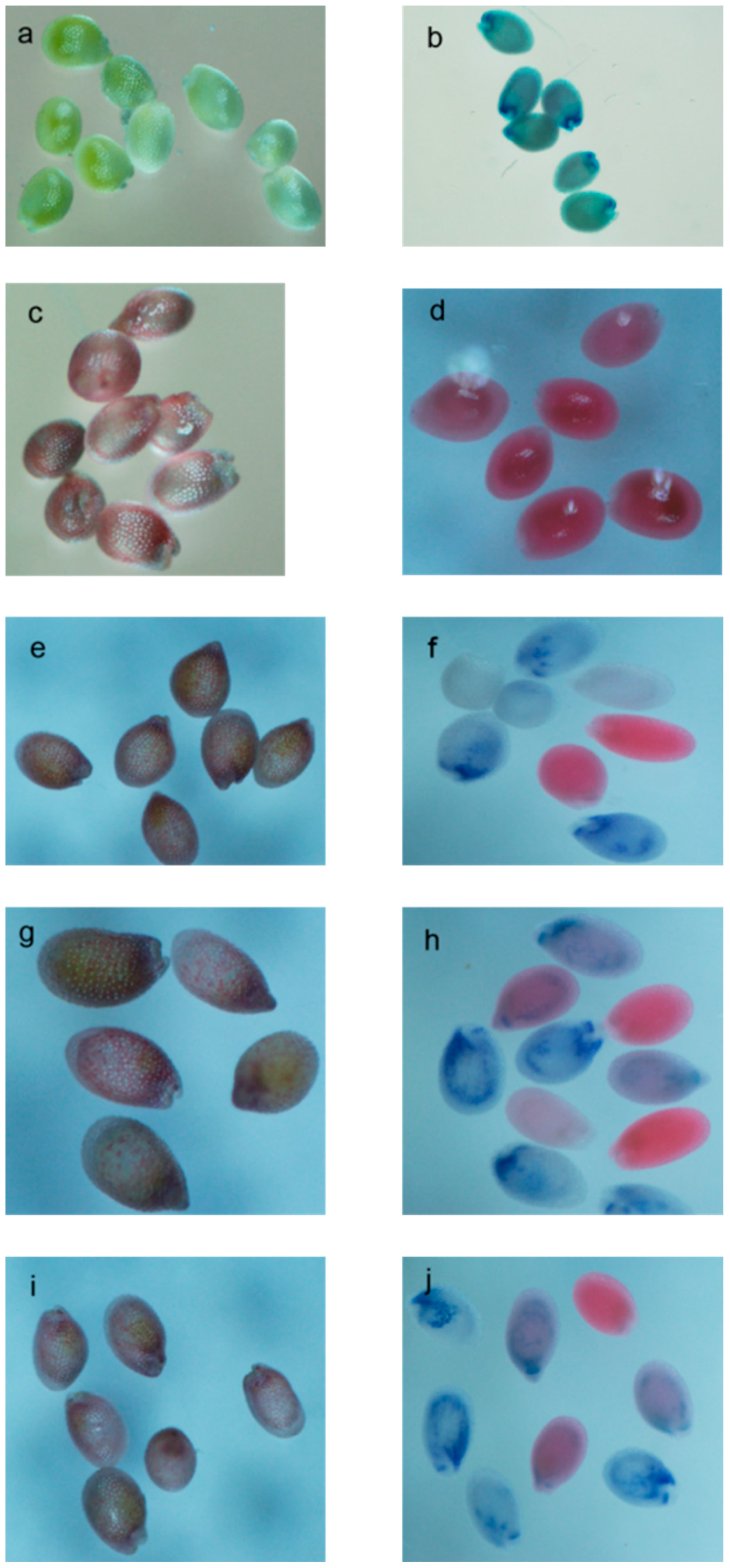 Molecules 23 02876 g008