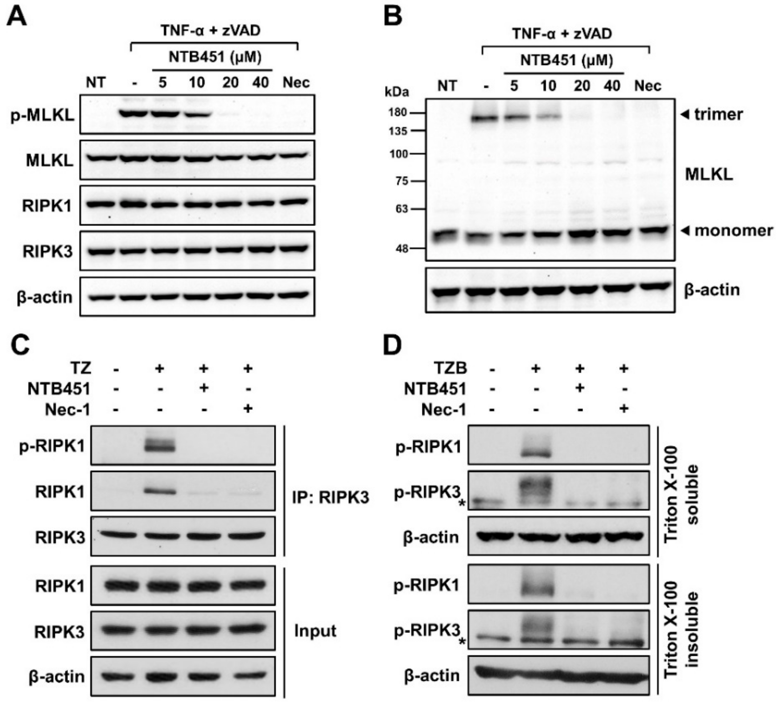 Molecules 23 02884 g002
